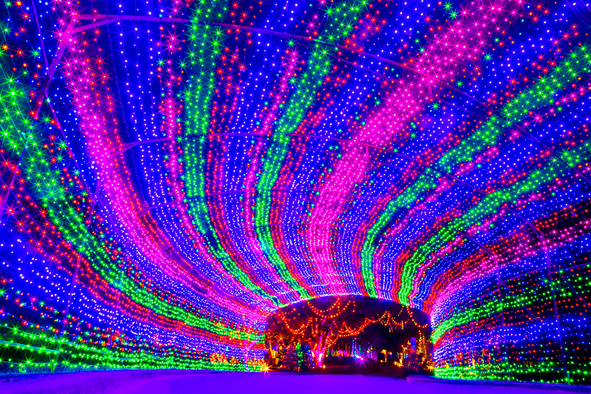 25+ Best Things to Do in Austin This December 2025