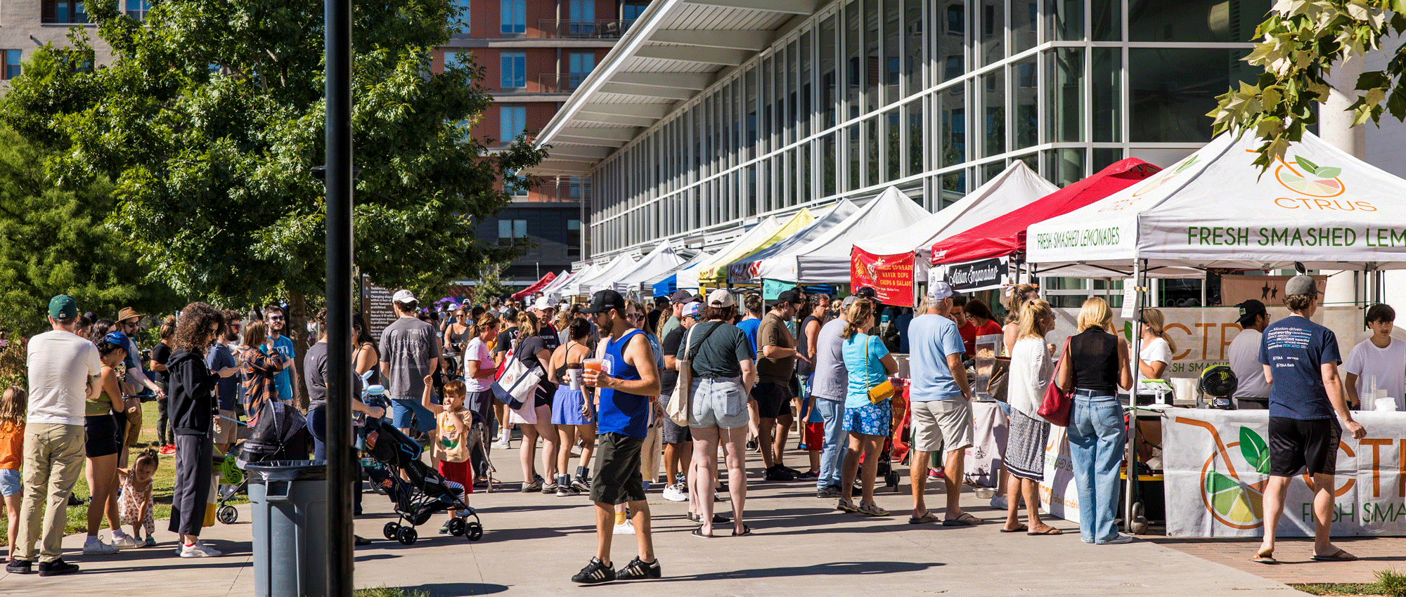 Mueller & East Austin Real Estate