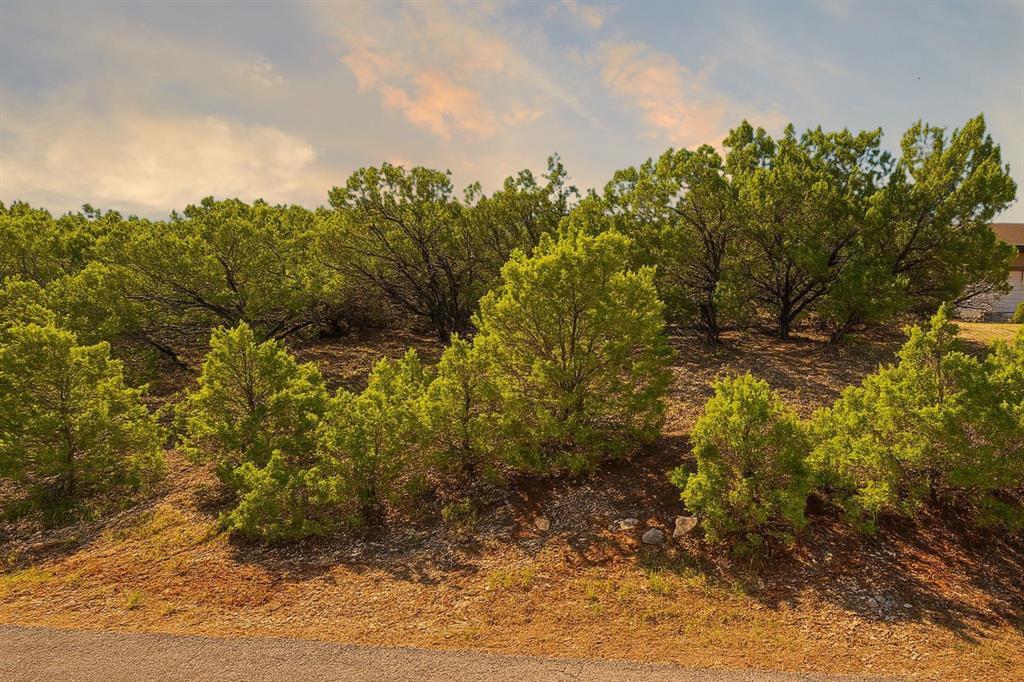 Deal of the Week: Build Your Forever Home in Lago Vista header image.