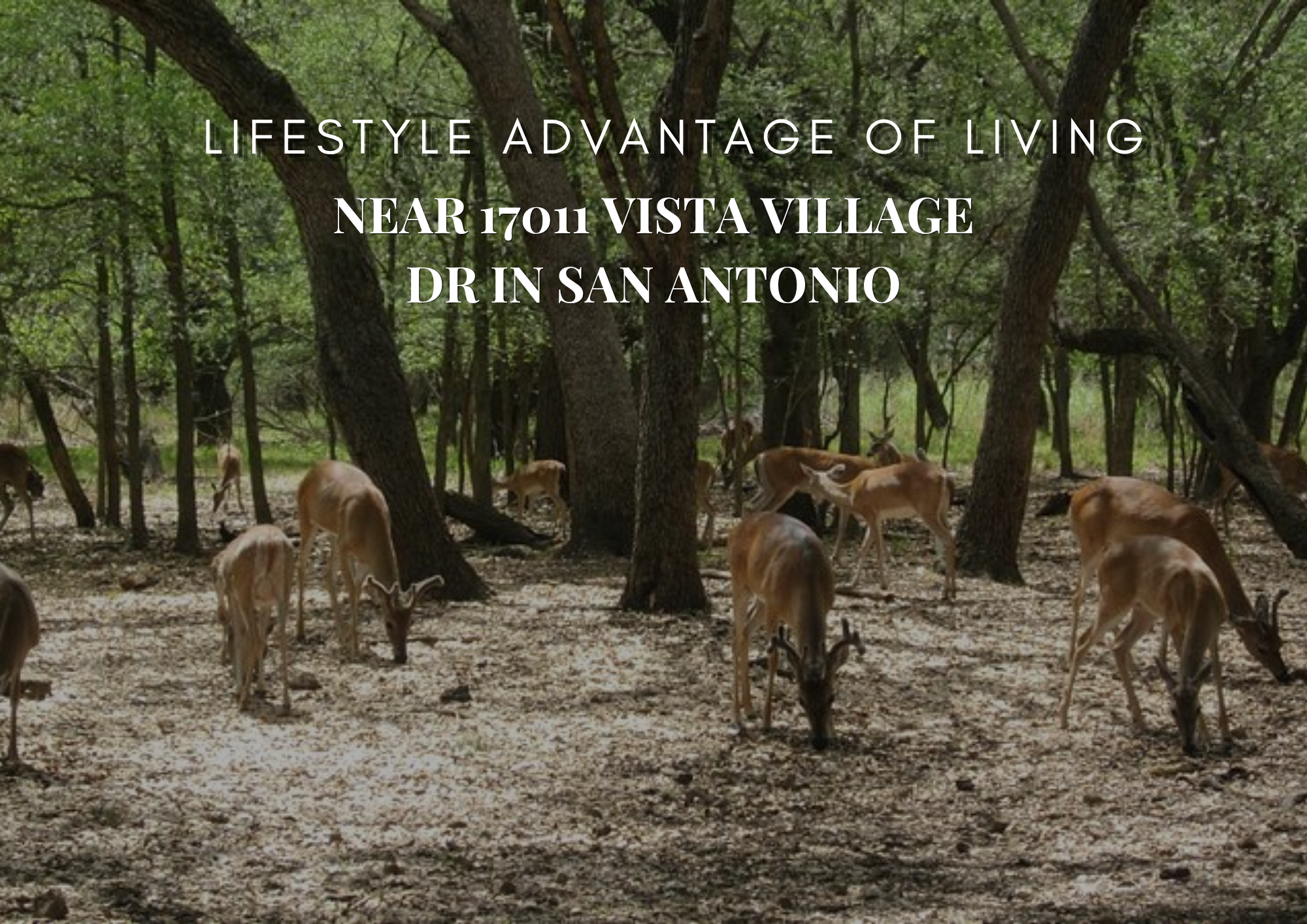 Lifestyle Advantage of Living Near 17011 Vista Village Dr in San Antonio header image.