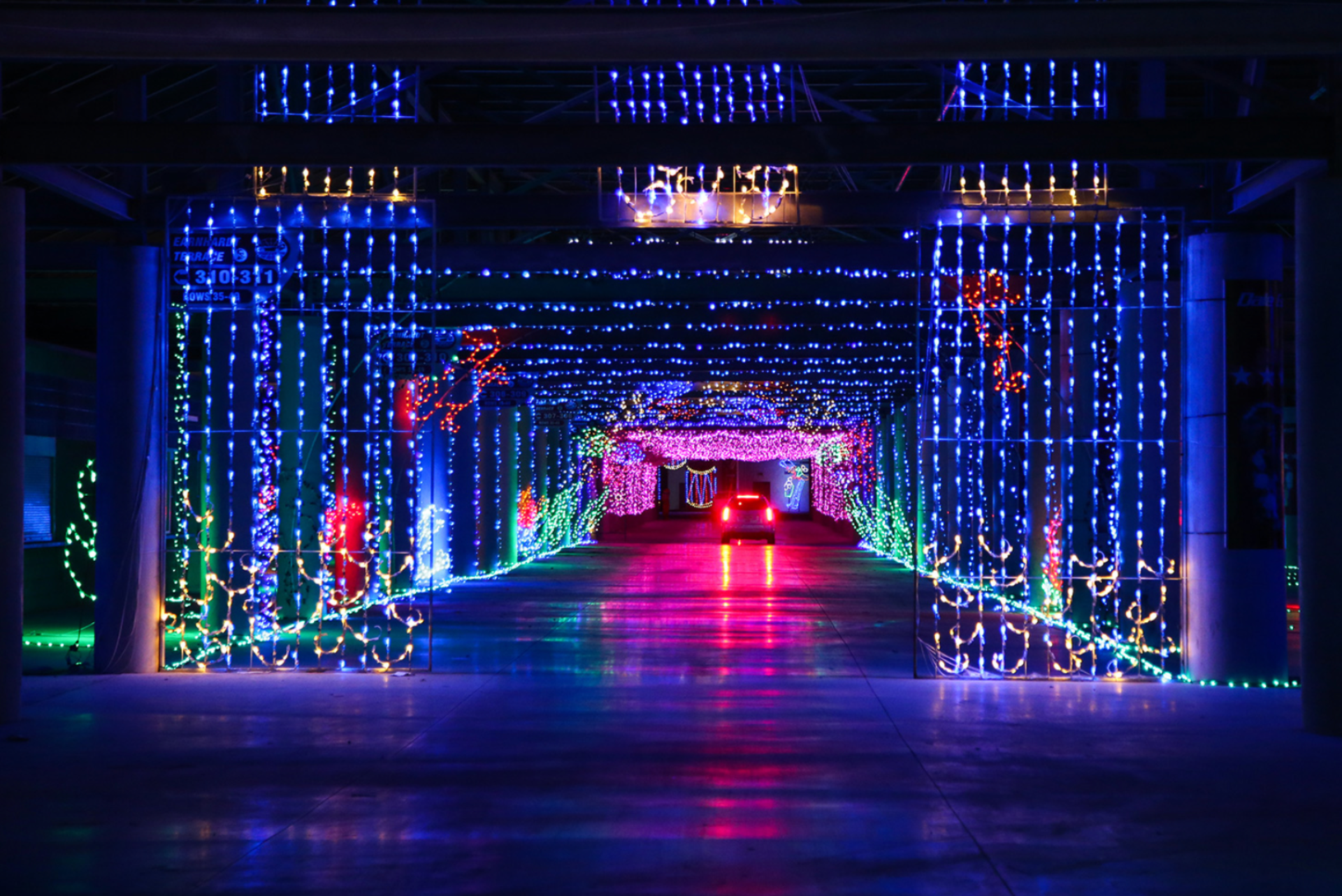Light Up November: Your Ultimate Guide to Las Vegas Holiday Magic! header image.