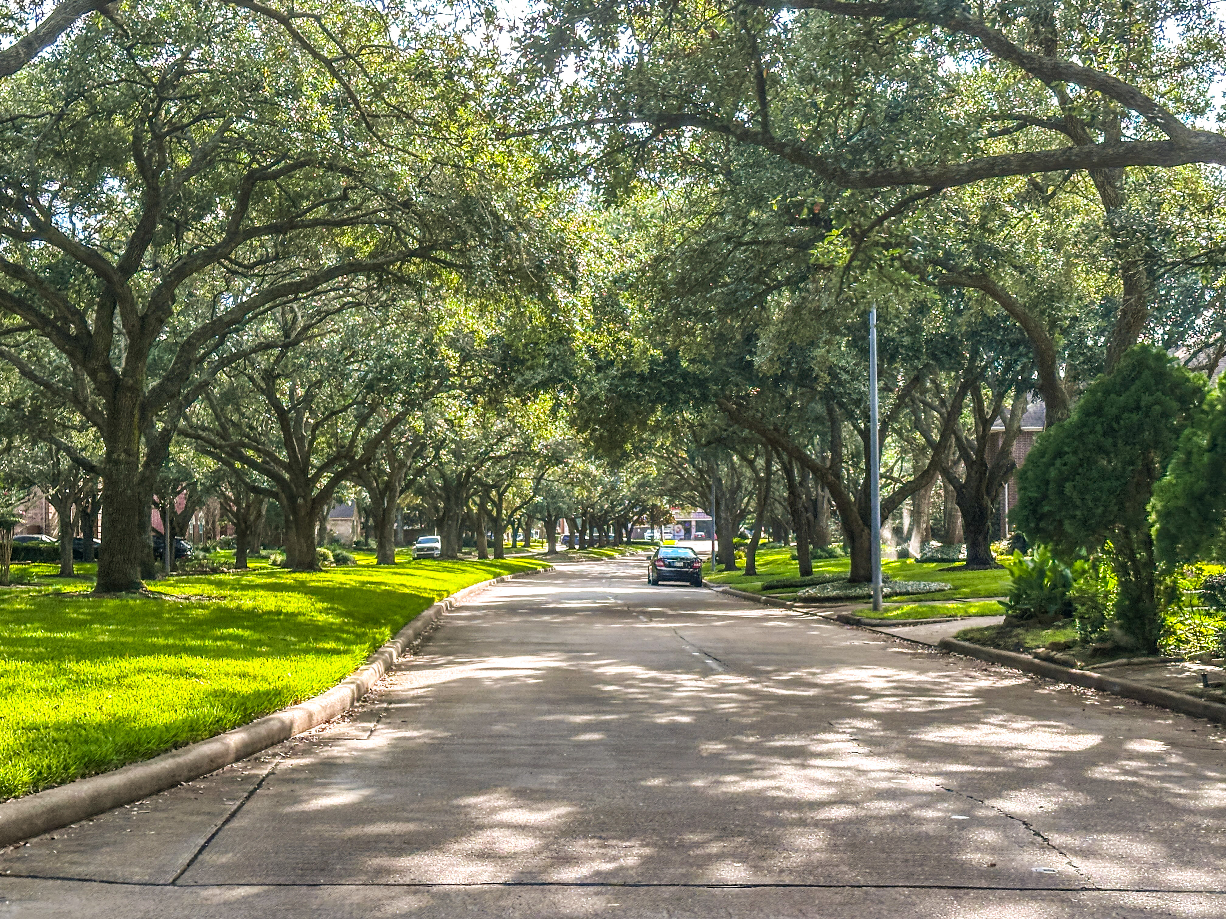 Established Community in Katy, TX