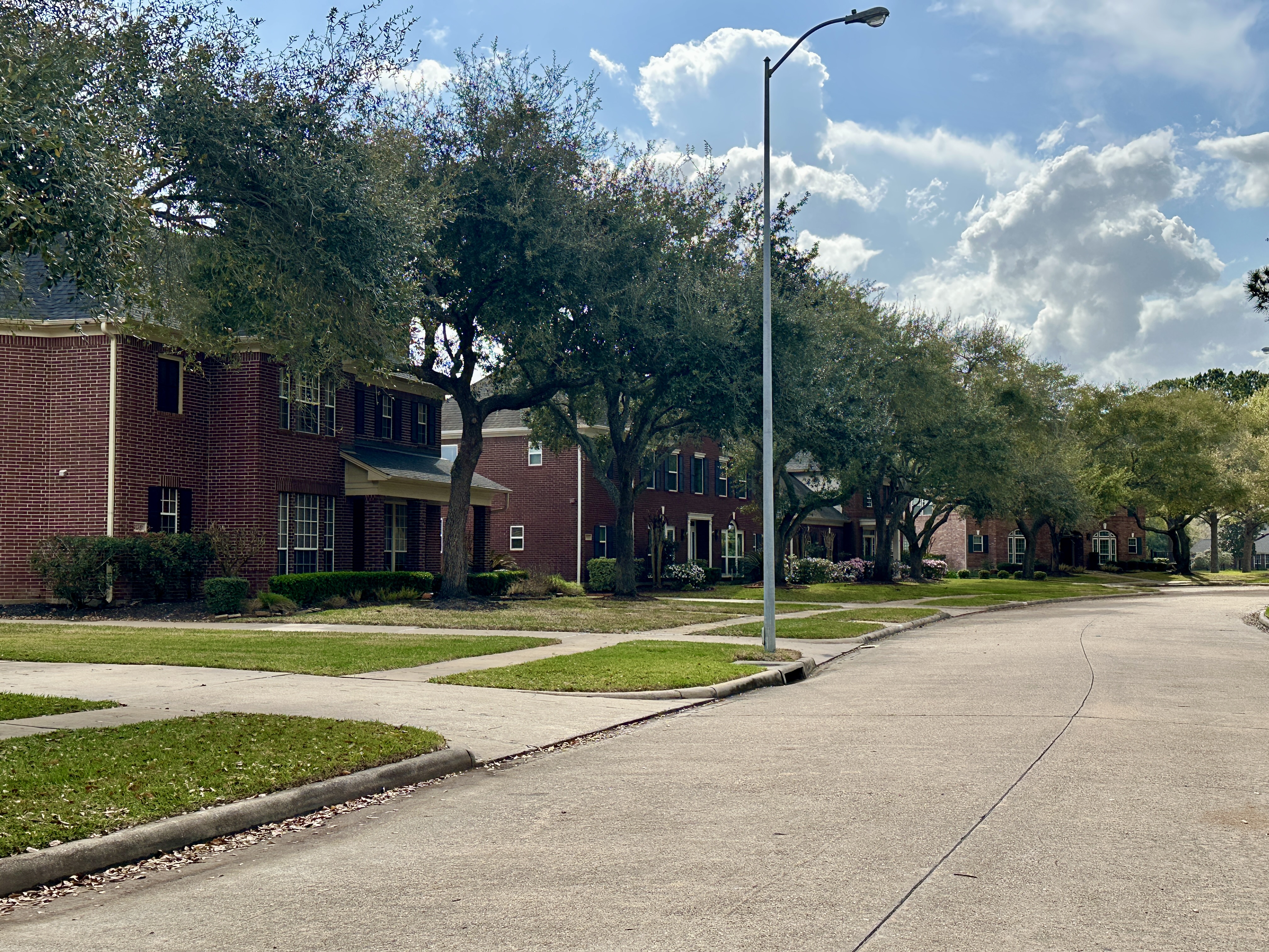 Original photo of a tree-lined residential street in Katy, Texas.