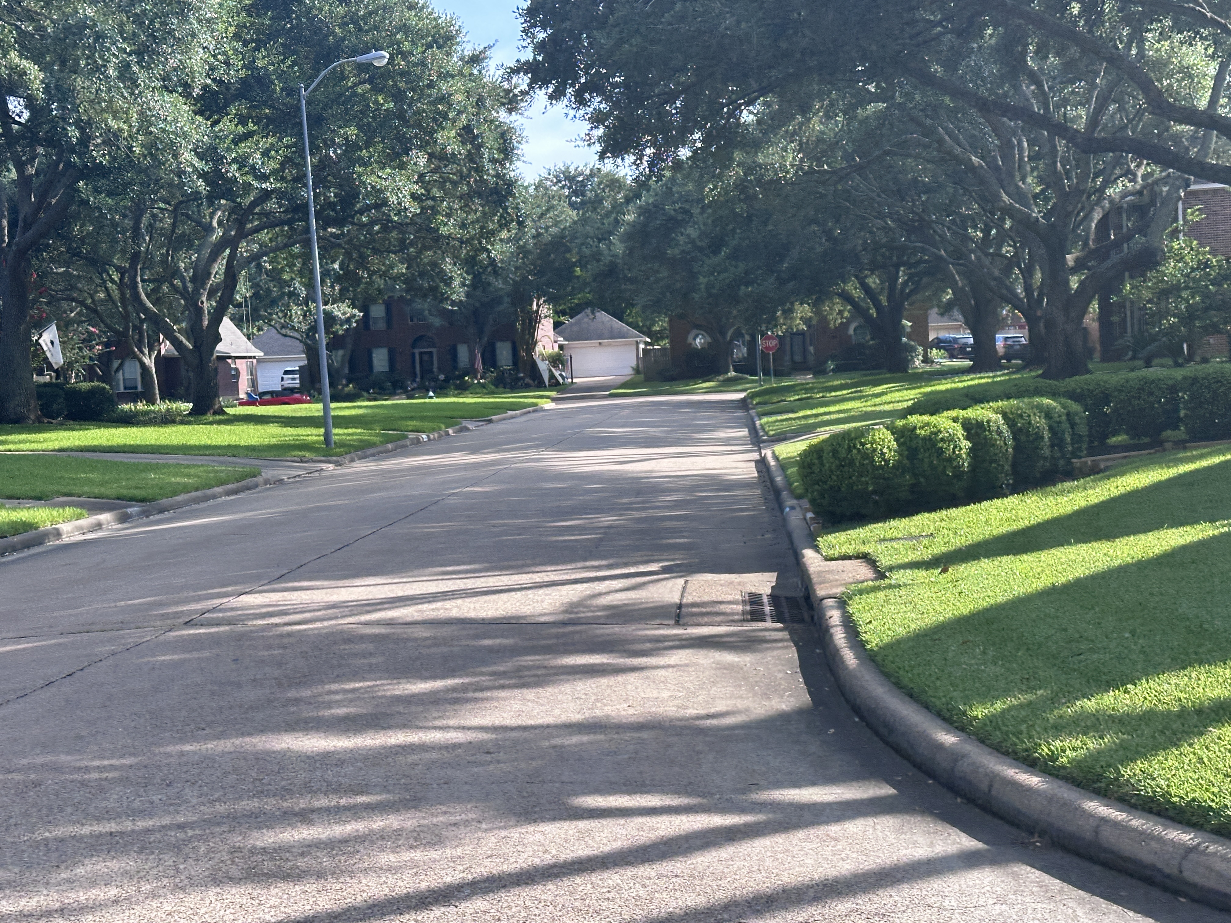 Established neighborhood in Katy, TX