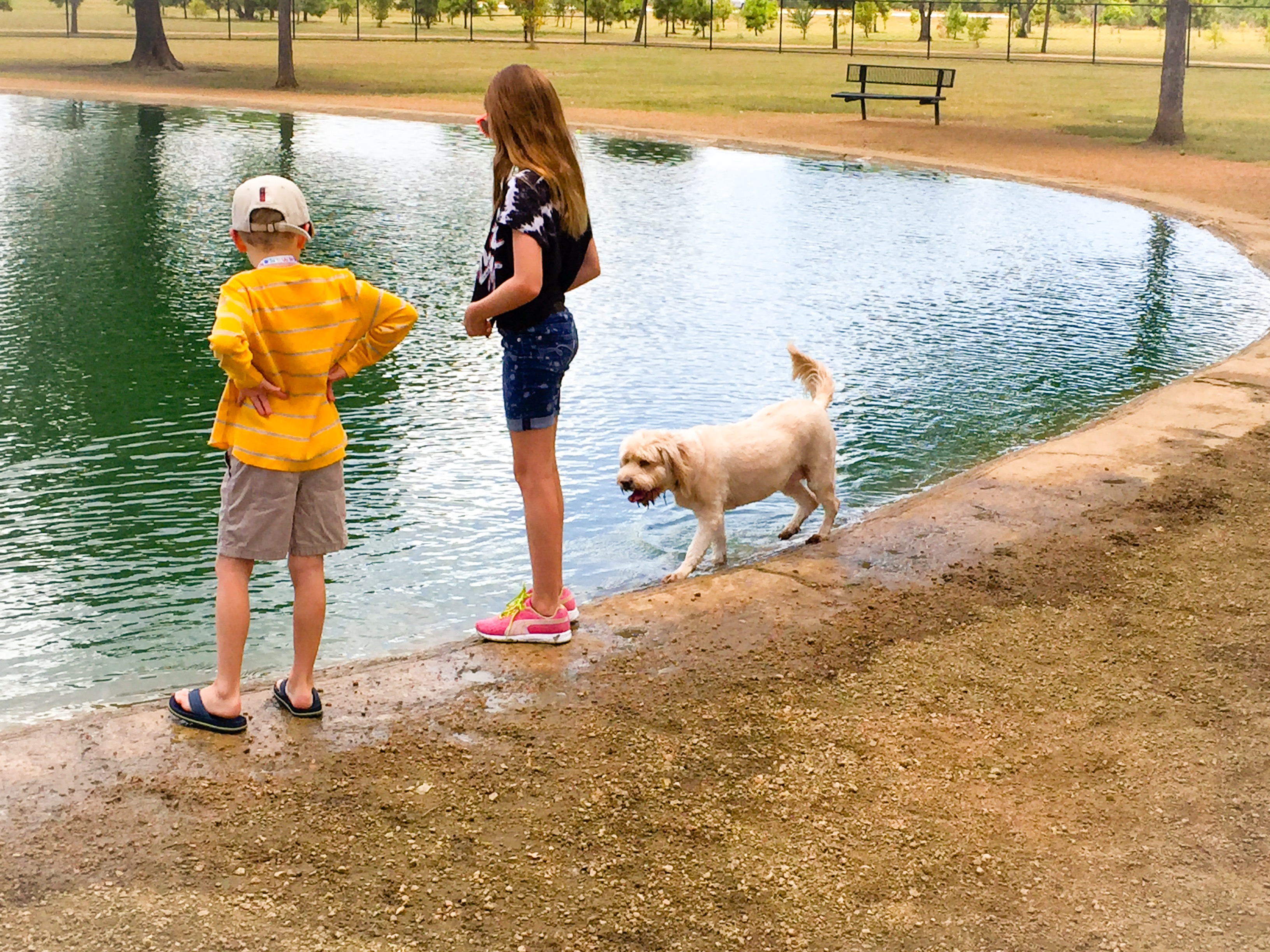 Dog park and walking trail in Katy TX
