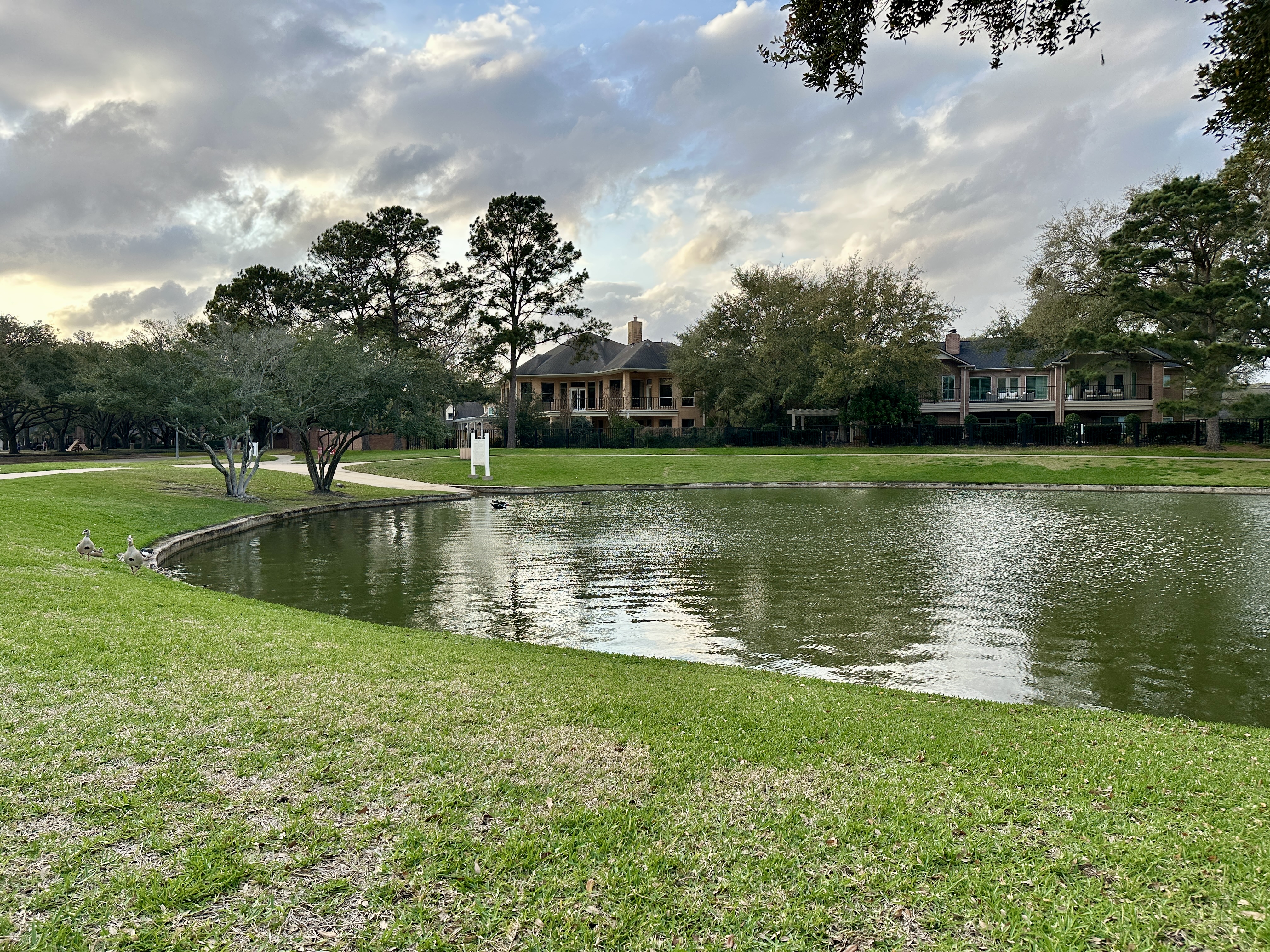 Lake and homes along the walking trail near Cinco Ranch Beach Club in Katy TX