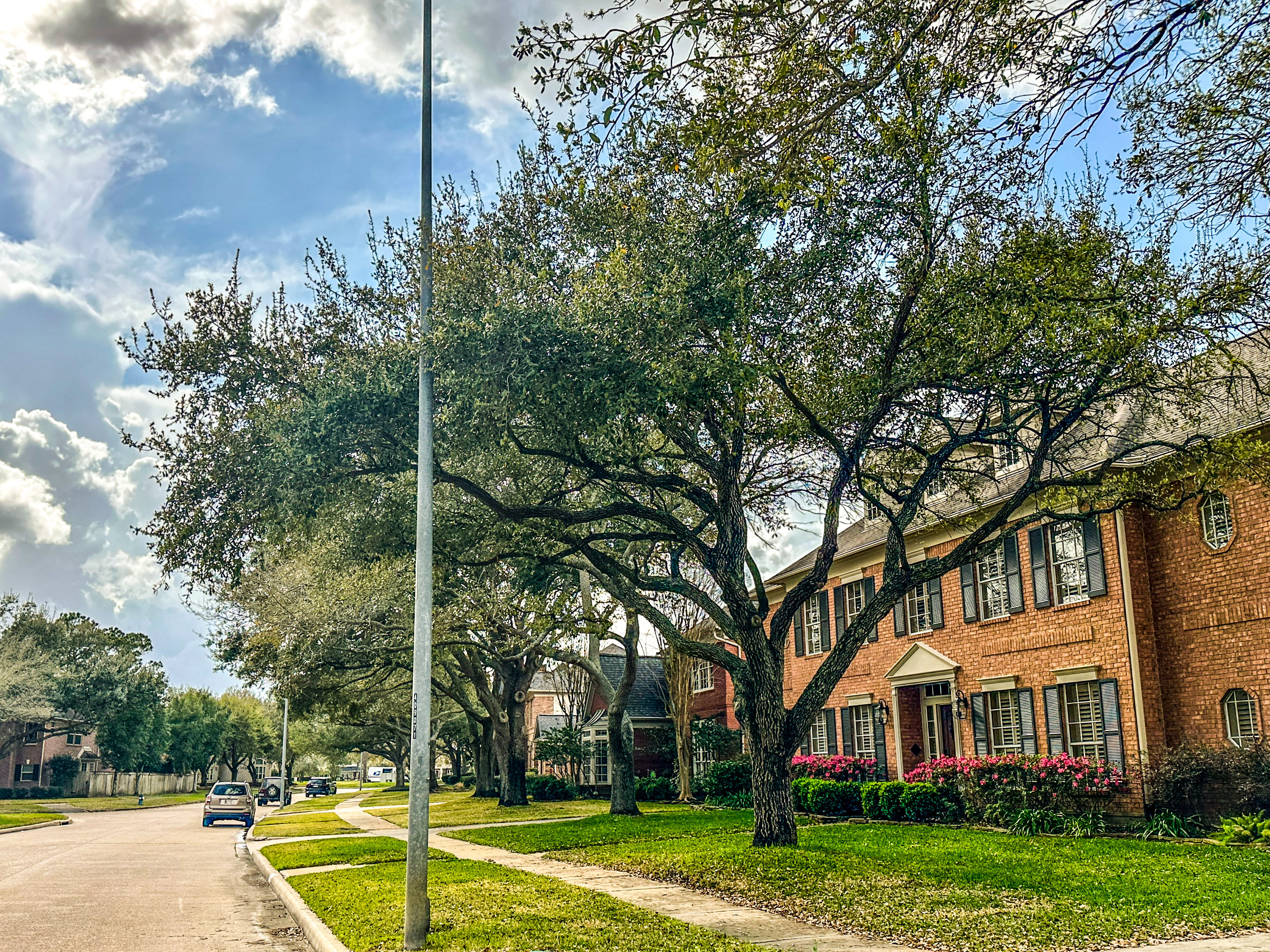 Katy TX Neighborhood