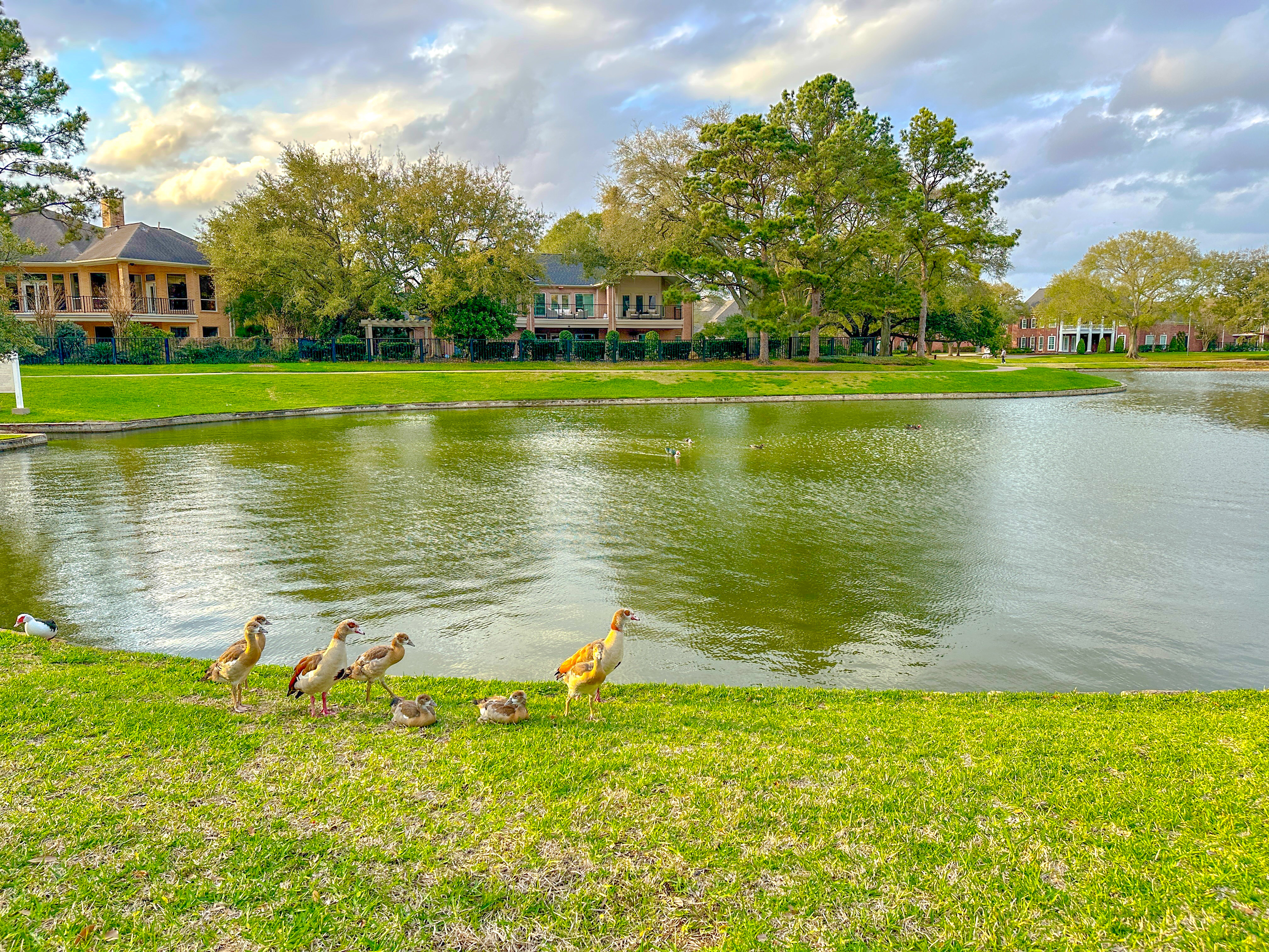 Walking trail in Katy TX with people enjoying outdoor path