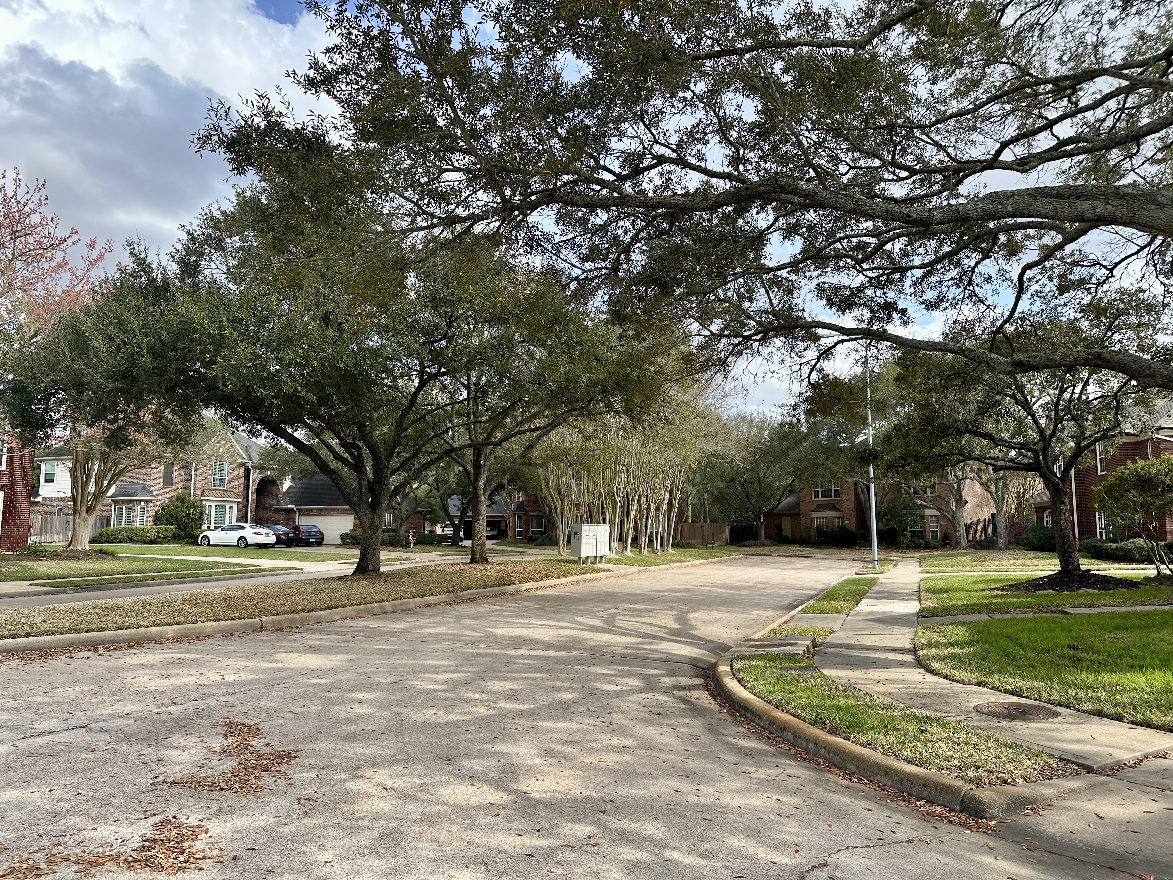 Residential homes along a neighborhood street in Katy TX