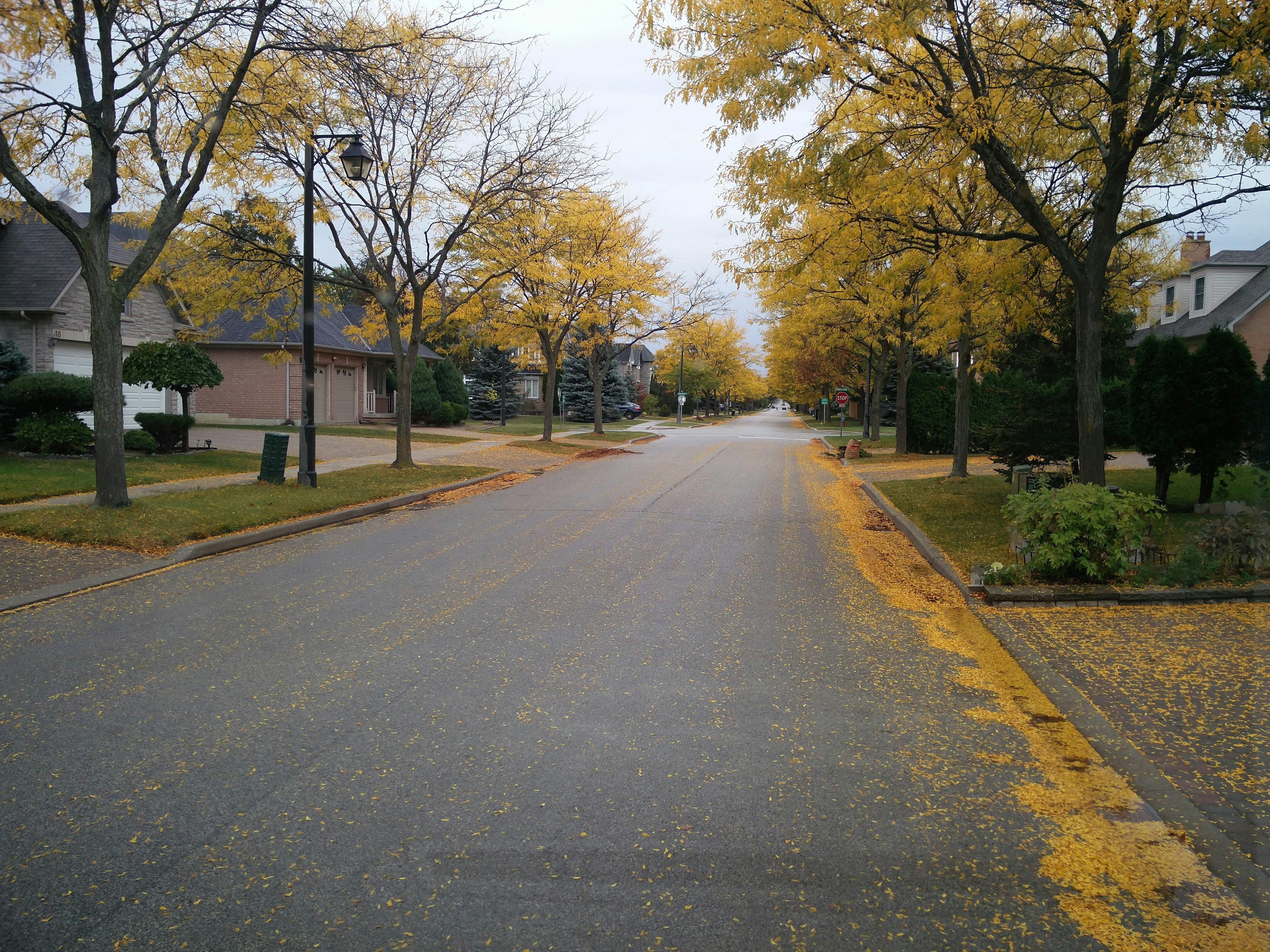 How much does the average home in Spartanburg cost in 2025? header image.