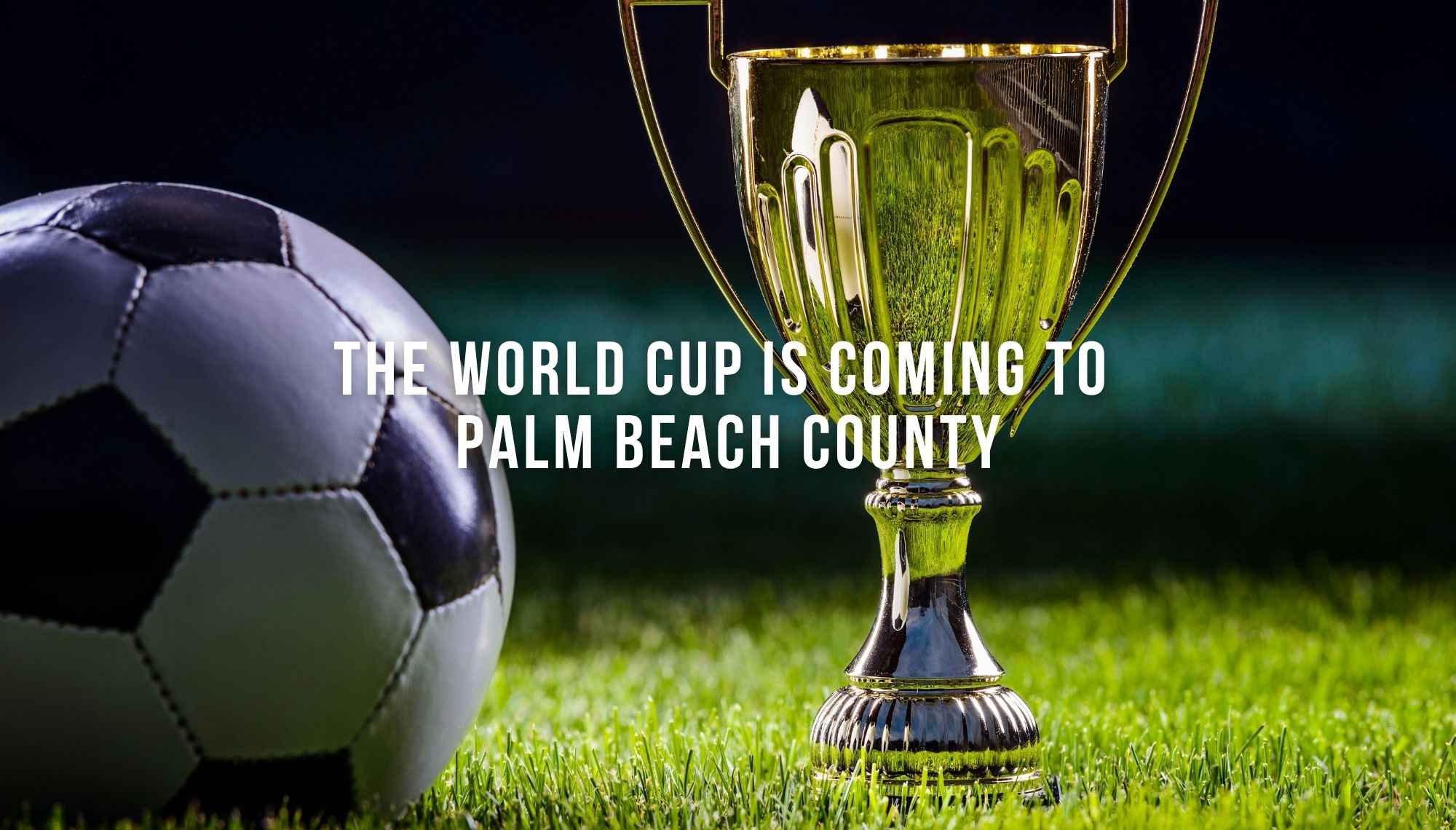 The World Cup Is Coming to Palm Beach County header image.