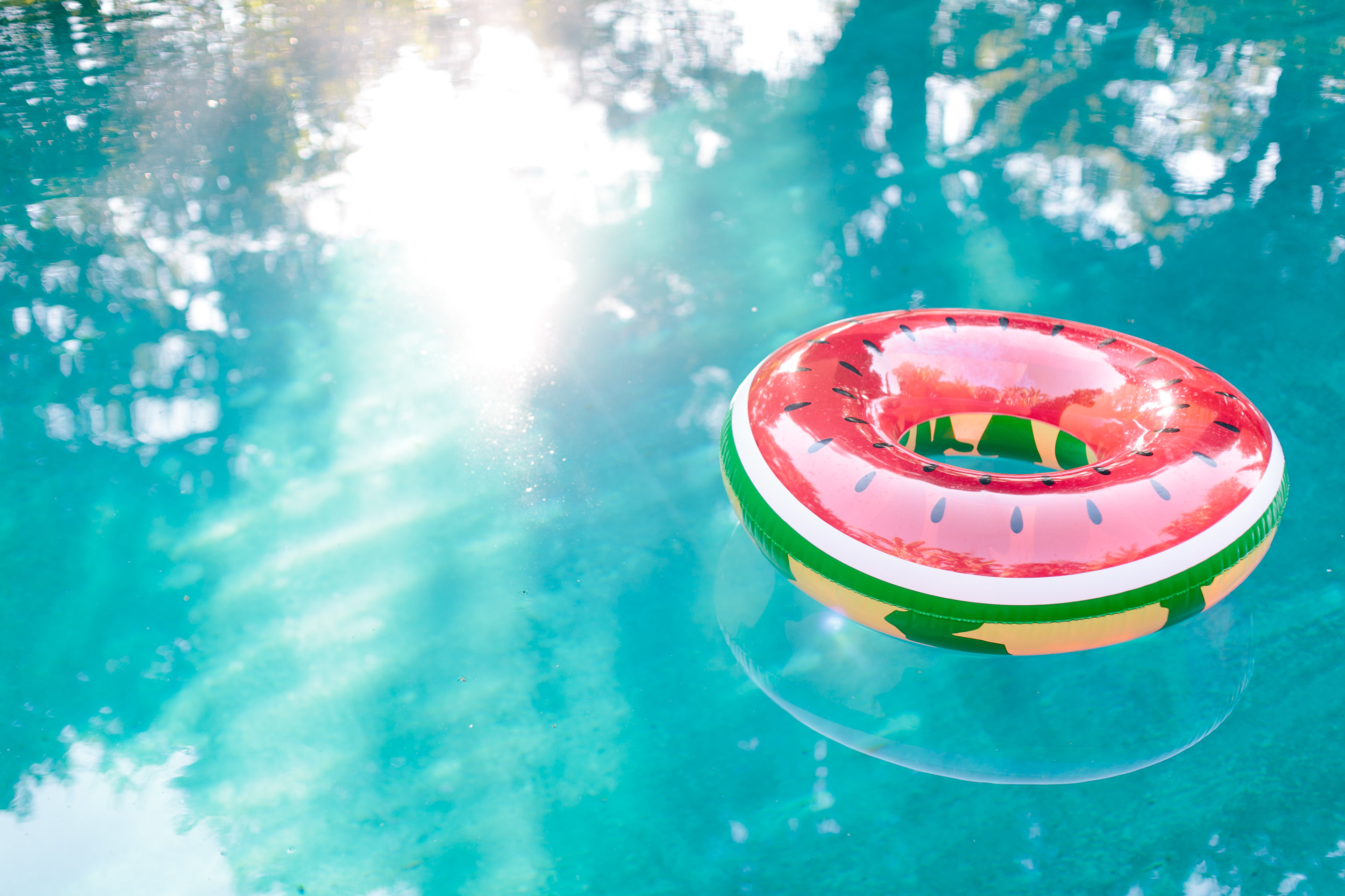 Fun Things to Do in Palm Beach County This Summer