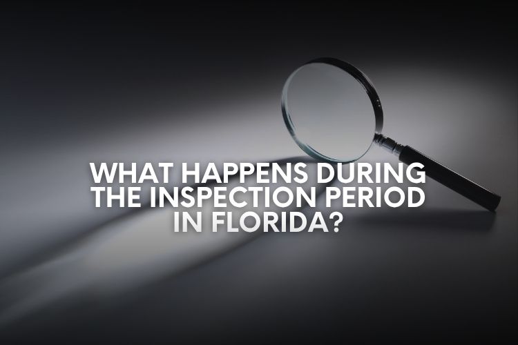 What Happens During the Inspection Period in Florida? header image.