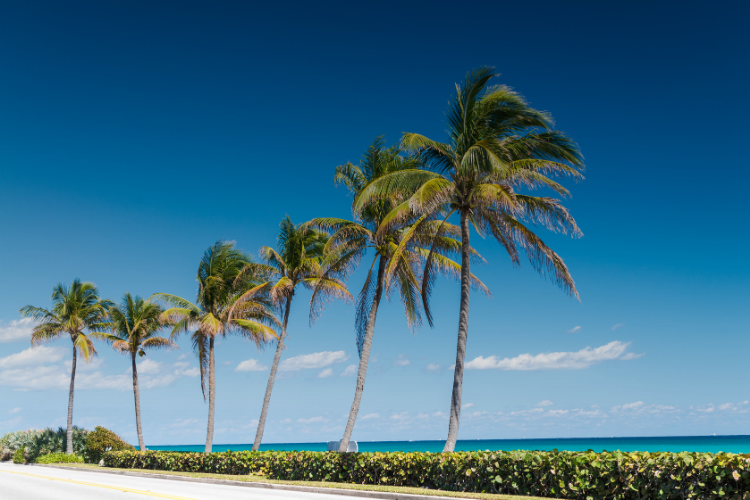 Why You Don't Need a Florida Vacation When You Live in Palm Beach County header image.