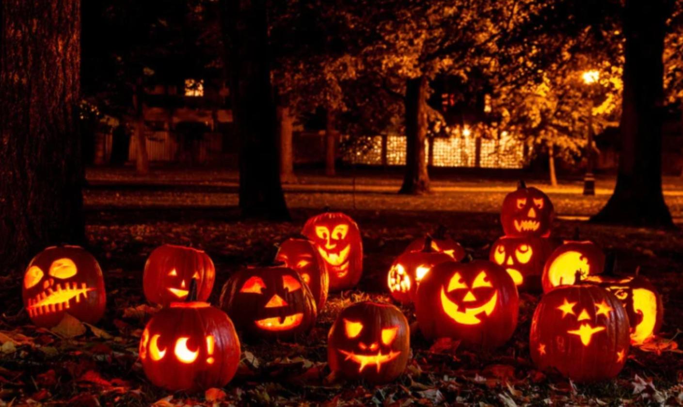 Carved jack-o'-lanterns glowing on fall leaves in a park at night for Halloween in Palm Beach County
