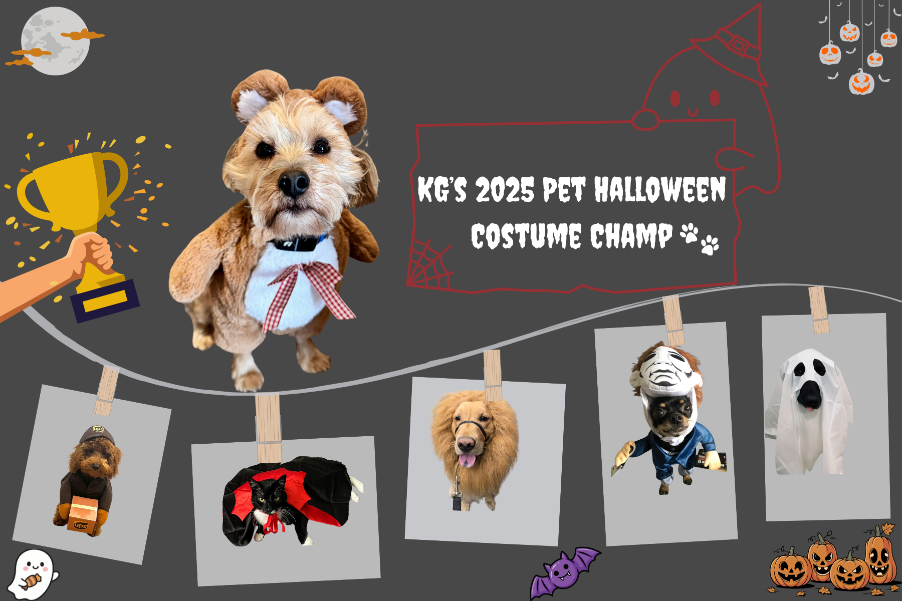 KG’s 2025 Pet Halloween Costume Champion
