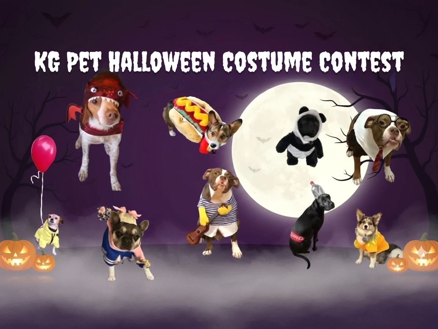 KG Pet Halloween Costume Contest