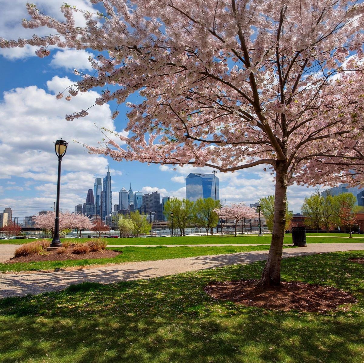 Best Outdoor Spaces in Philly for Spring