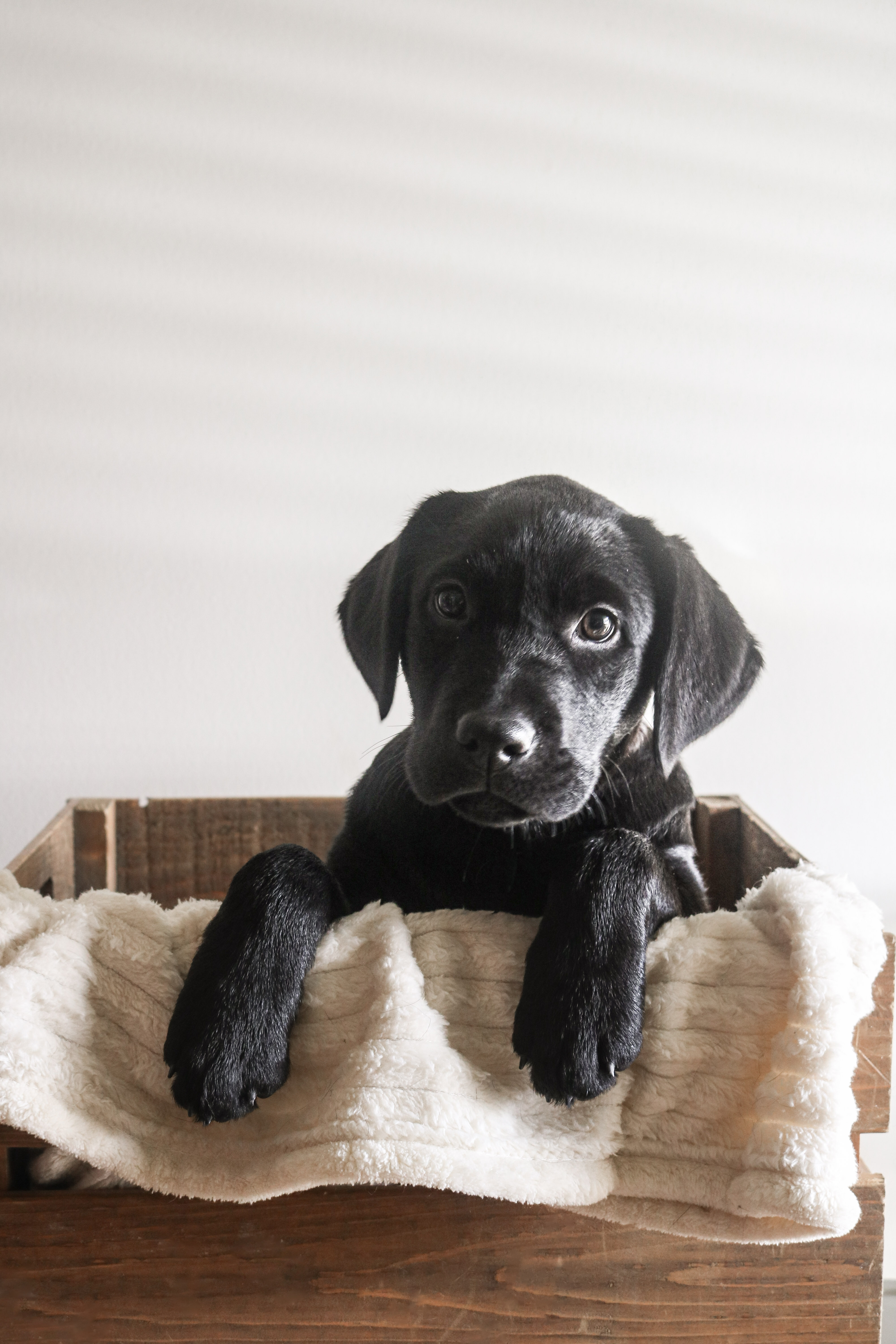 Here’s What You Can Do Now to Be Ready to Sell This Spring in Seacoast NH header image.