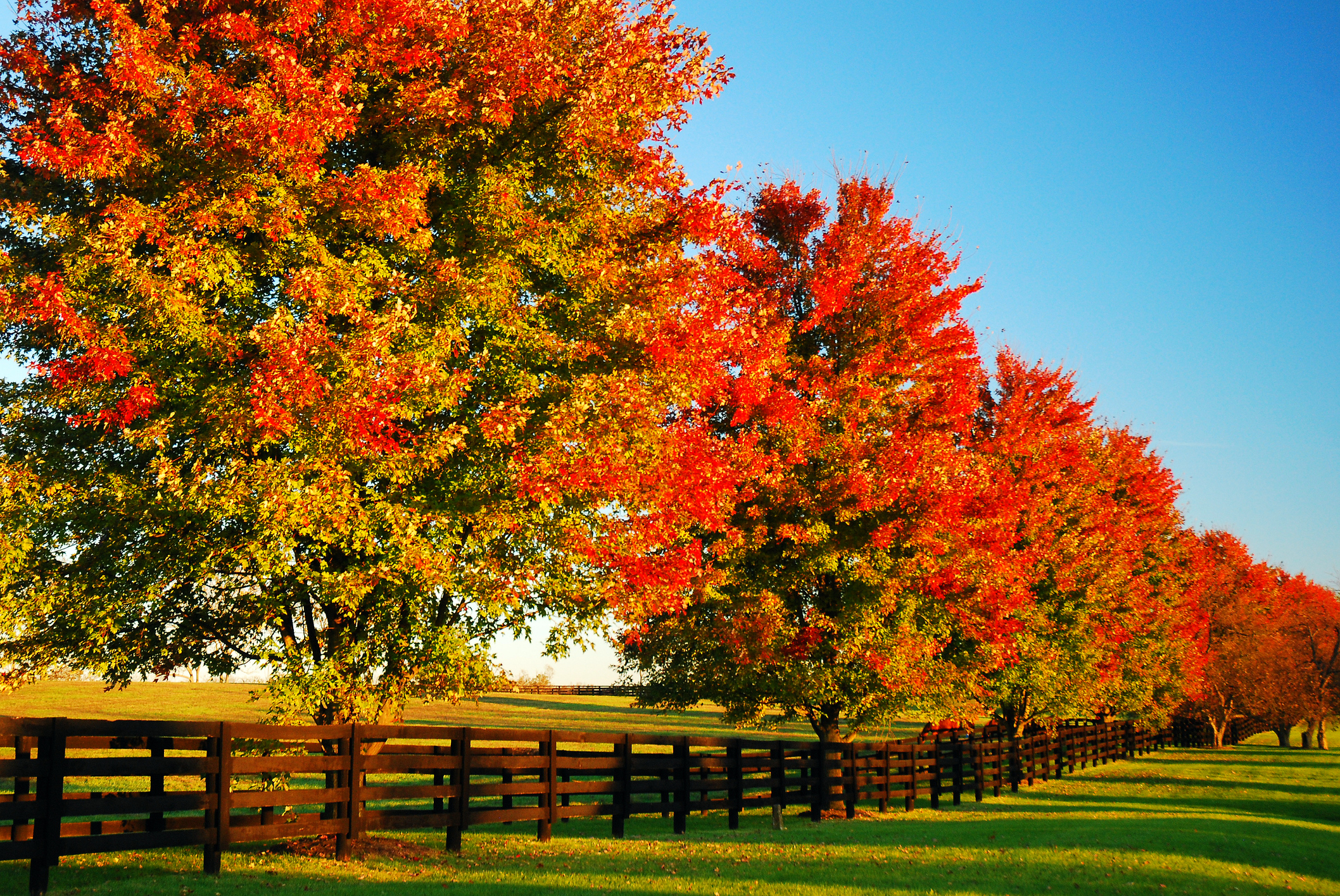 Fall in Lexington Kentucky for homebuyers considering a move to Central Kentucky