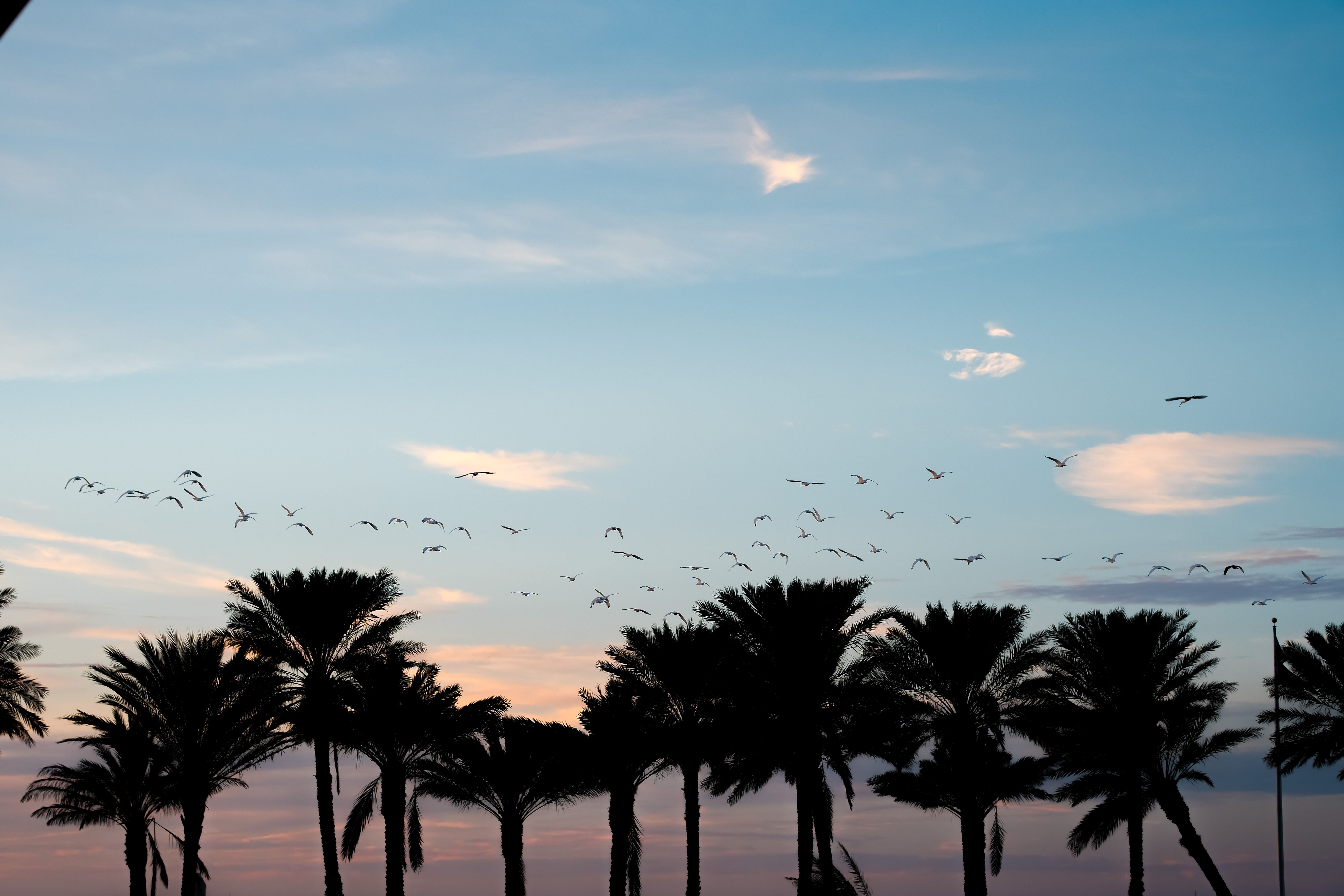 Welcoming suburban neighborhood in Lehigh Acres, Florida with spacious homes, palm trees, and bright sky. Ideal for affordable community living. 