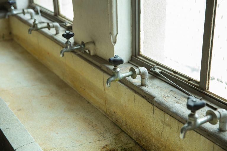 Understanding Mold: Prevention and Remediation header image.