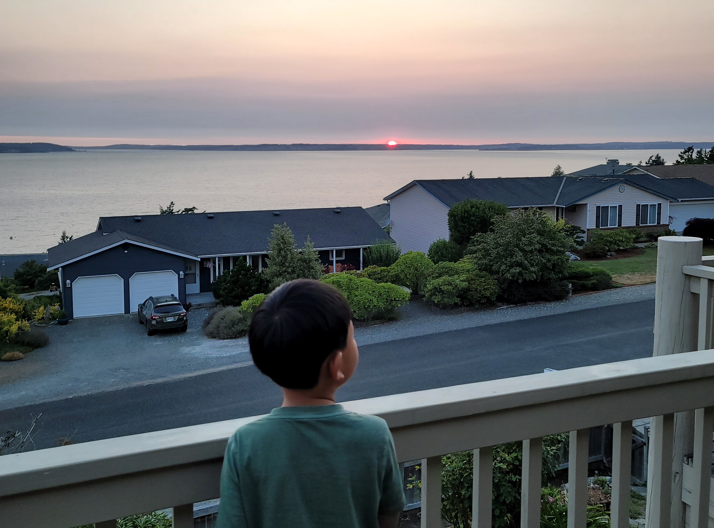 The Cost Of Waiting header image.