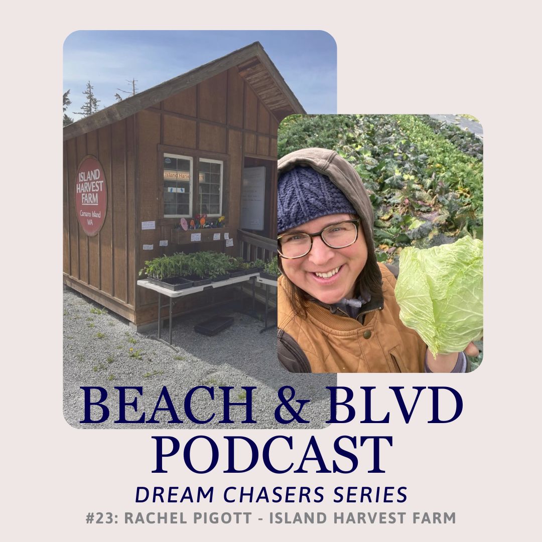 Dream Chasers Podcast Series:  Rachel Pigott - Island Harvest Farm header image.