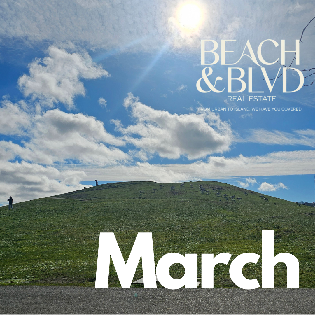 March Newsletter header image.