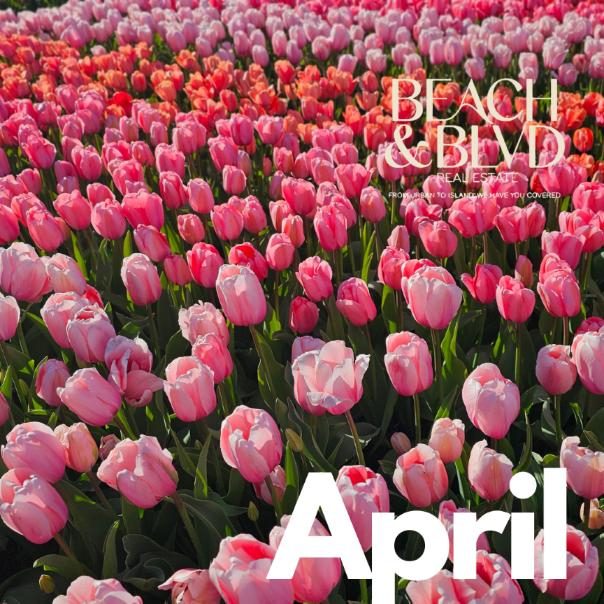 April Newsletter header image.