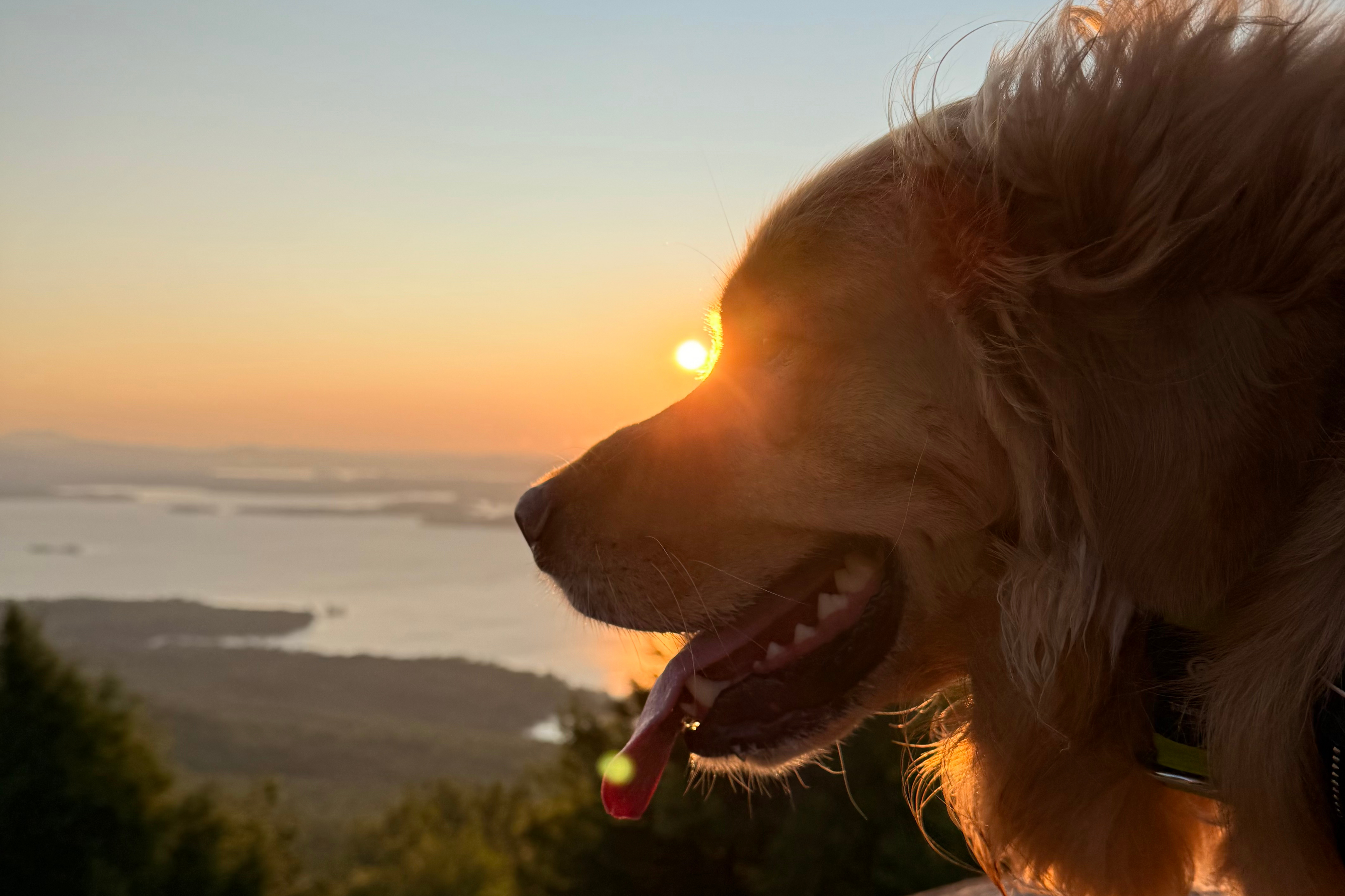The Dog-friendly Guide to New Hampshire’s Lakes Region header image.