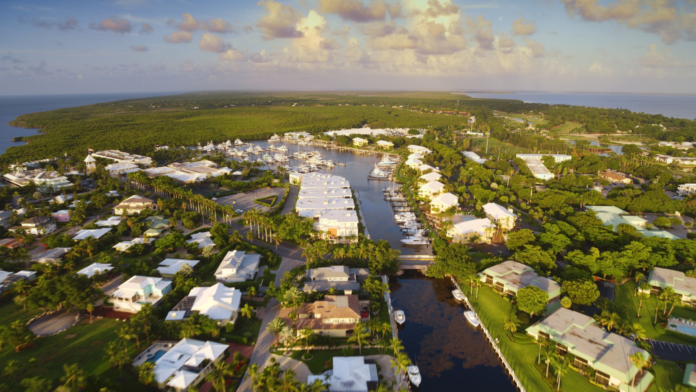 Why Experience Matters in the Miami and Florida Keys Real Estate Market header image.