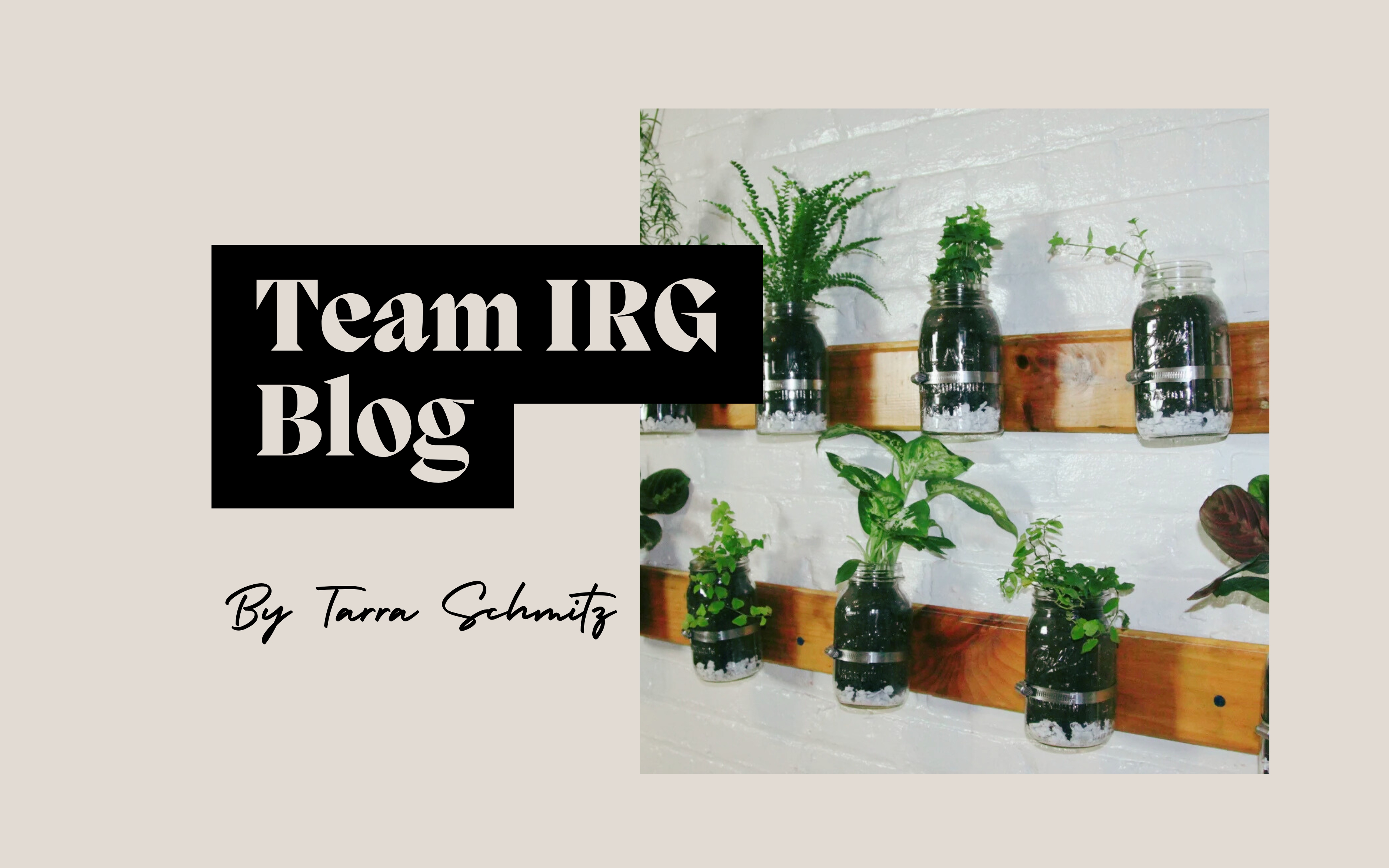 Easy Home DIY Project on a Budget: Mason Jar Herb Garden header image.