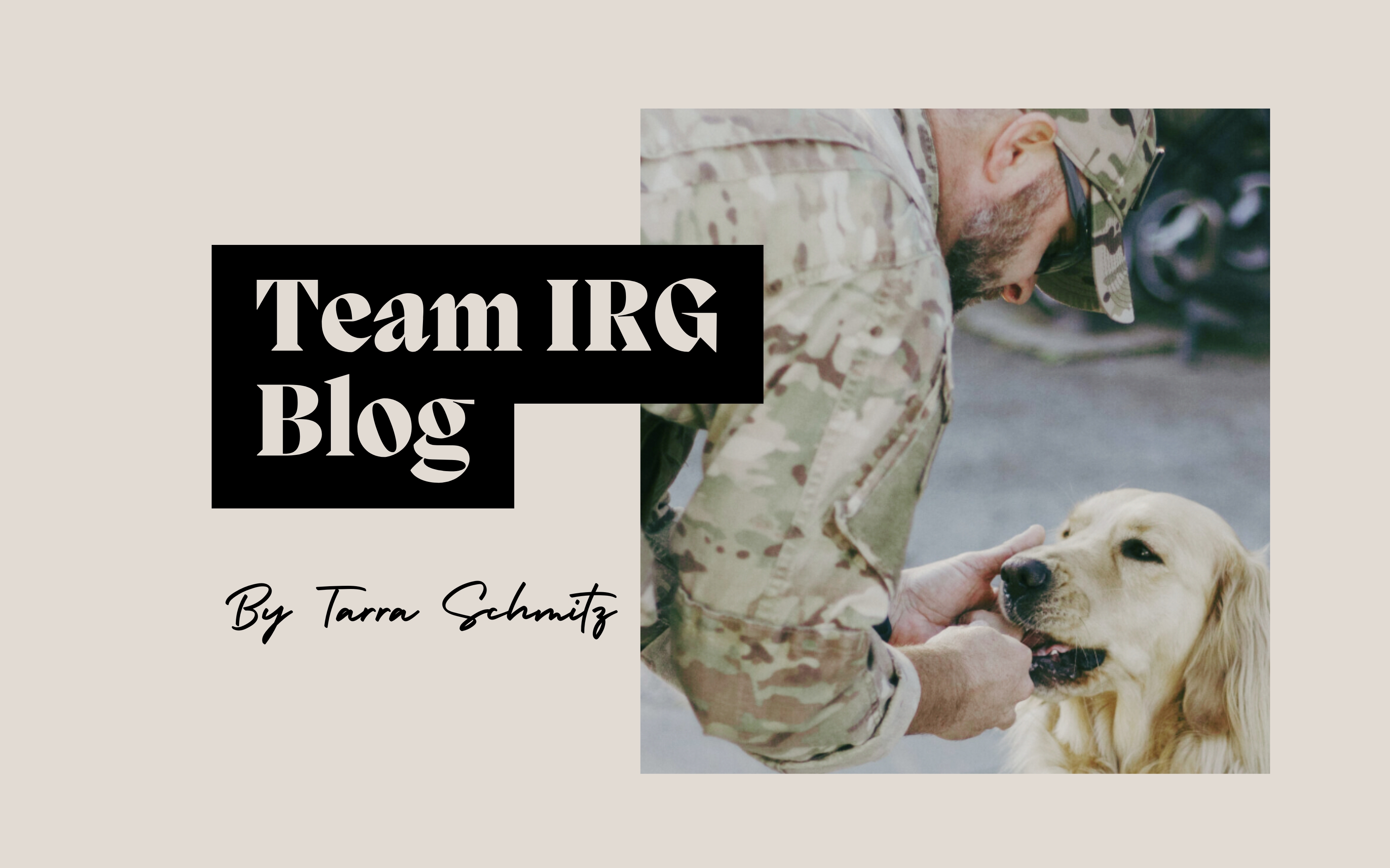 Puppy Jake Foundation: Unleashing Hope for Veterans One Dog at a Time header image.
