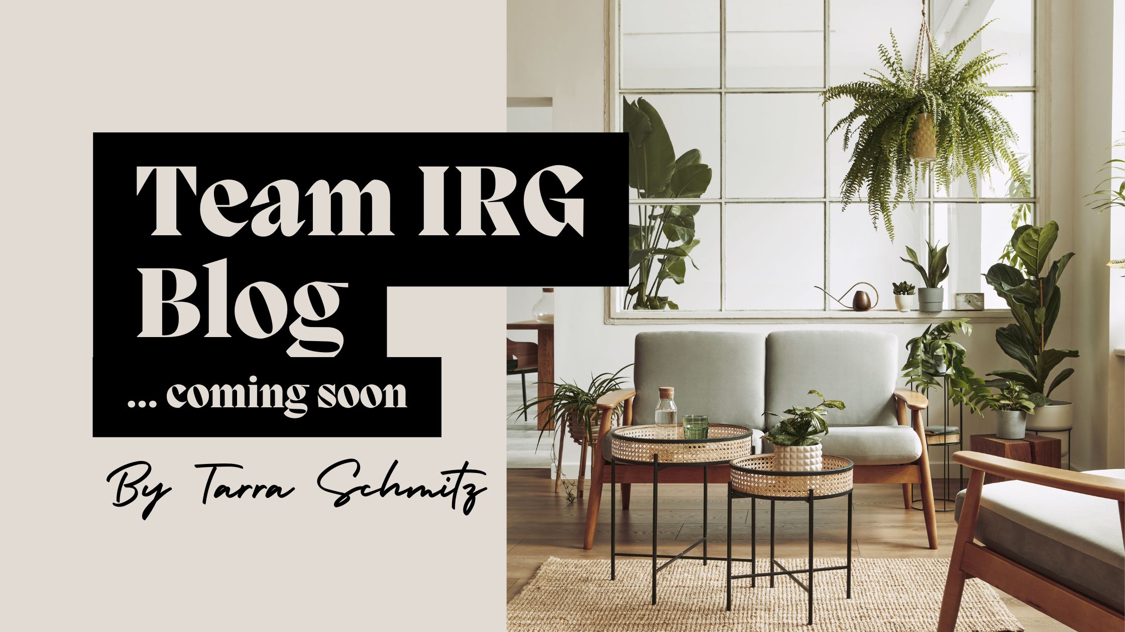 Exciting News: Team IRG Is Launching a New Blog in 2025! header image.