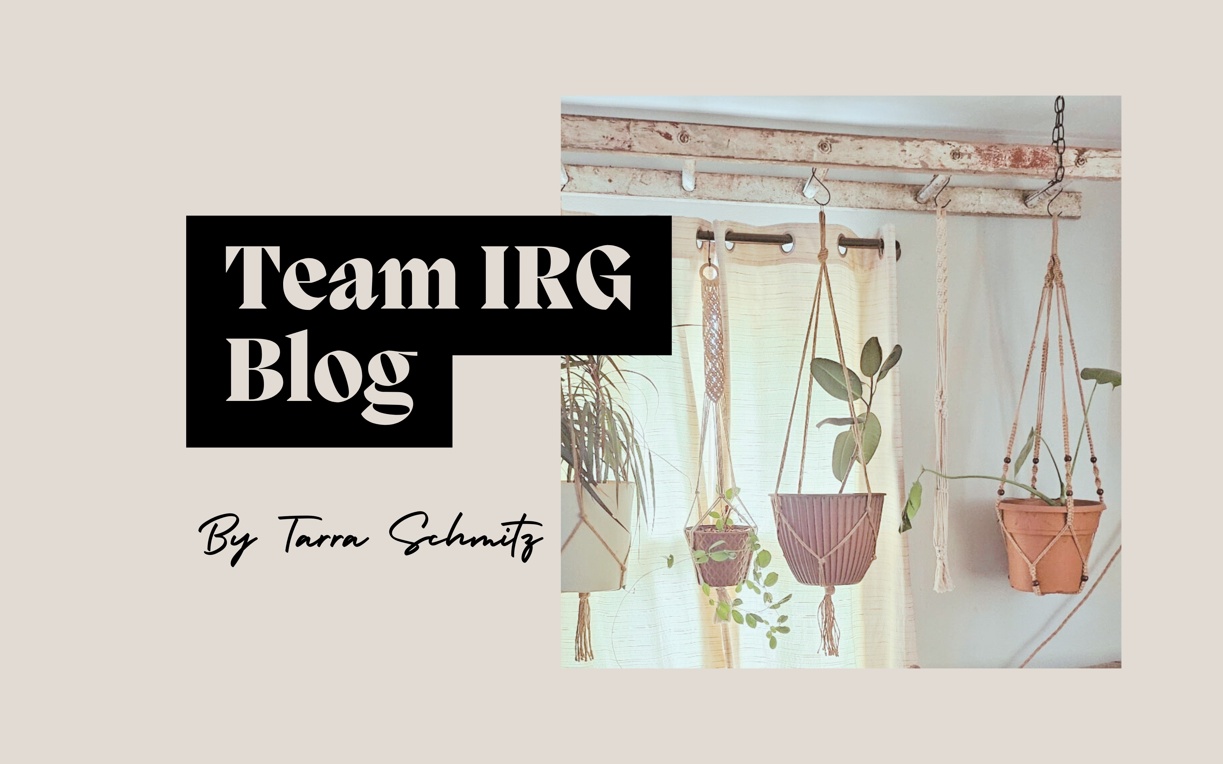 From Forgotten Ladder to Lush Plant Hanger: A DIY Transformation header image.