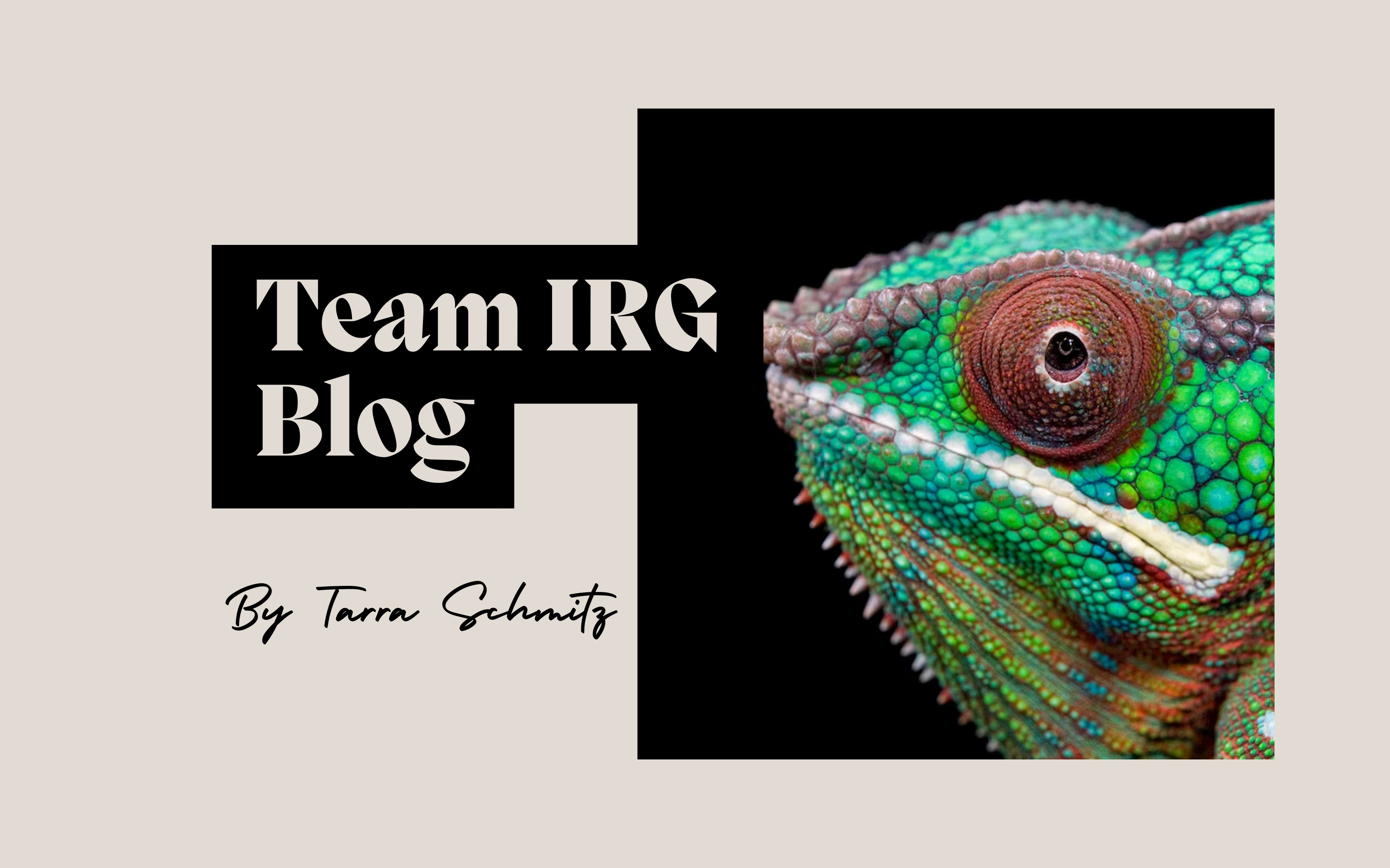 Slithering Into the Weekend: The Reptile Show Comes to the Des Moines Area header image.