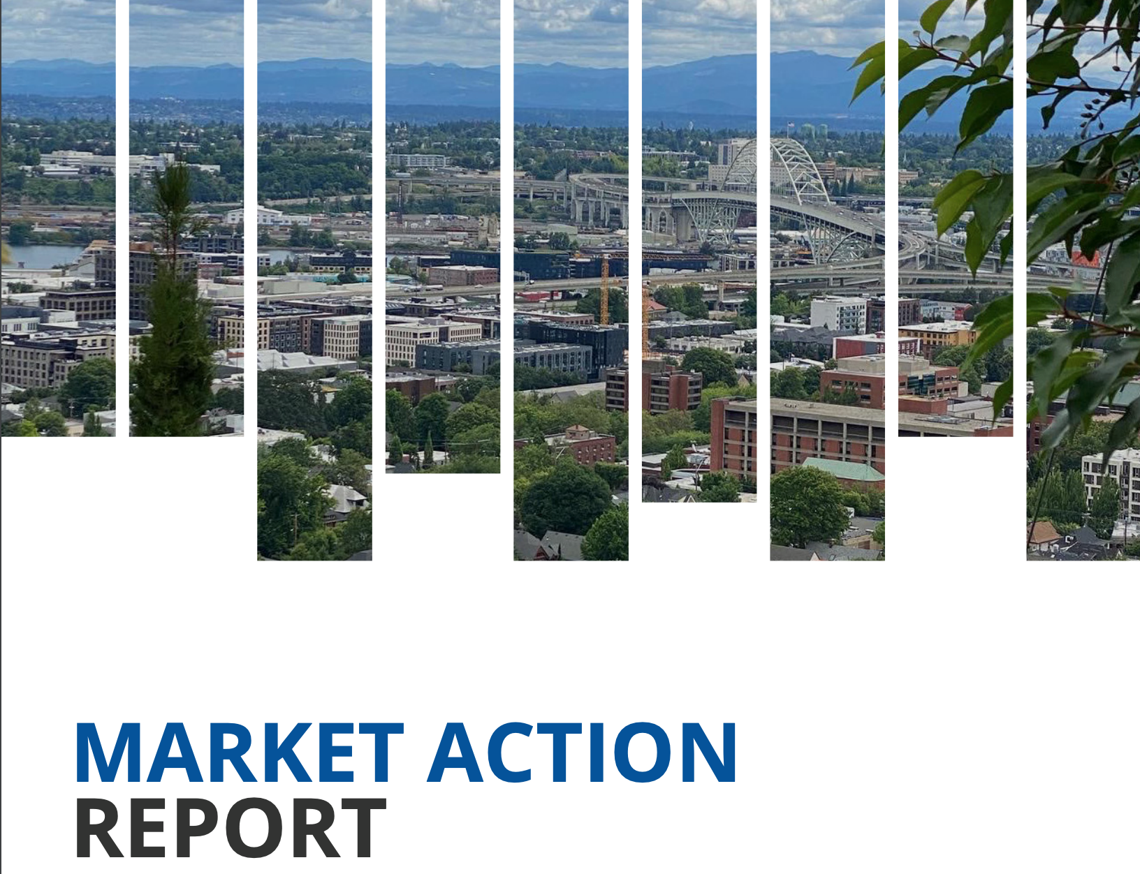 Latest Market Action Report header image.