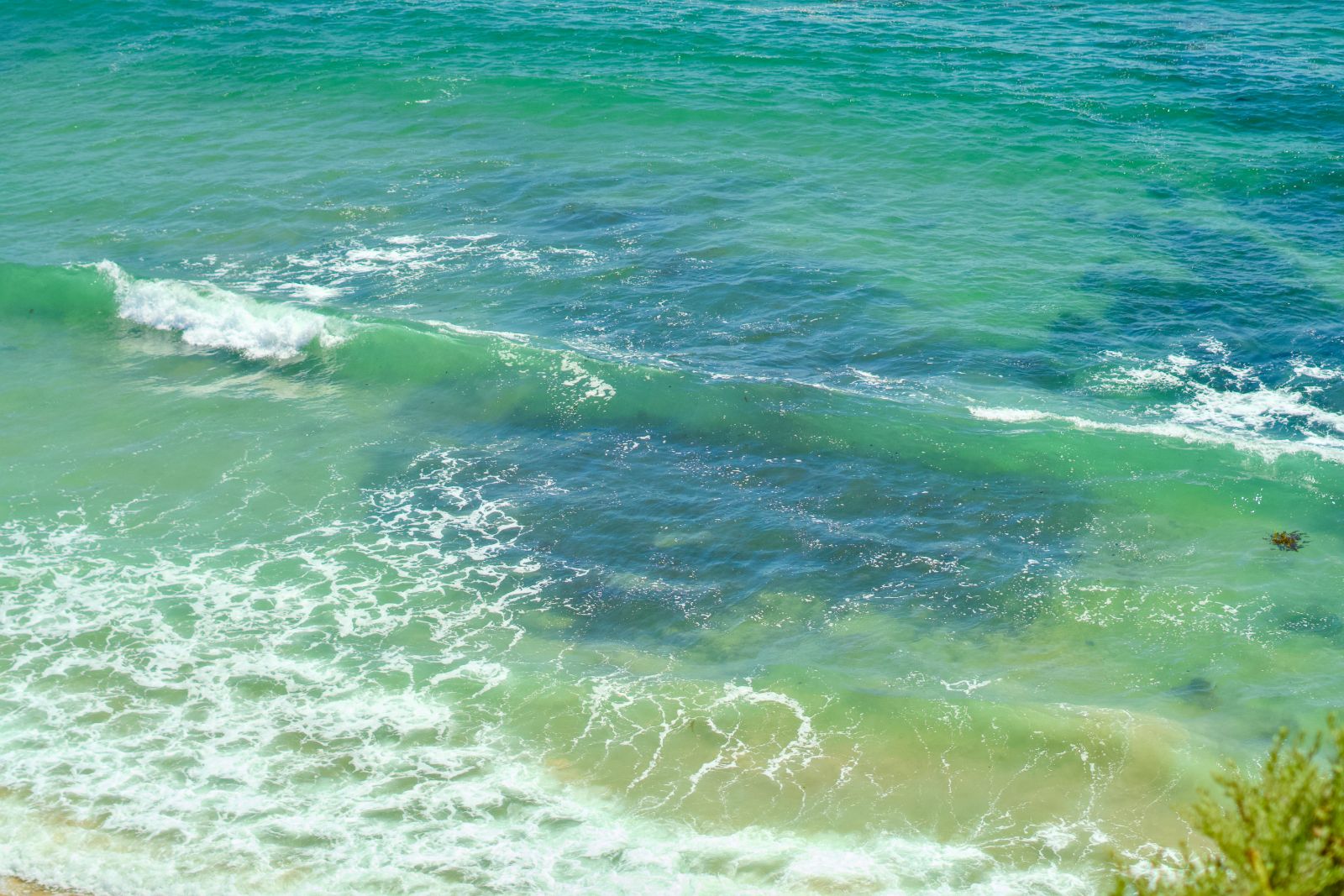 Best Neighborhoods in Newport Beach for Luxury Buyers header image.