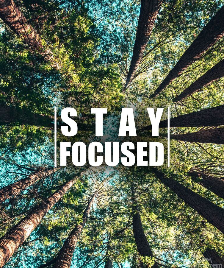 Stay Focused, Stay Hungry, Keep Going header image.