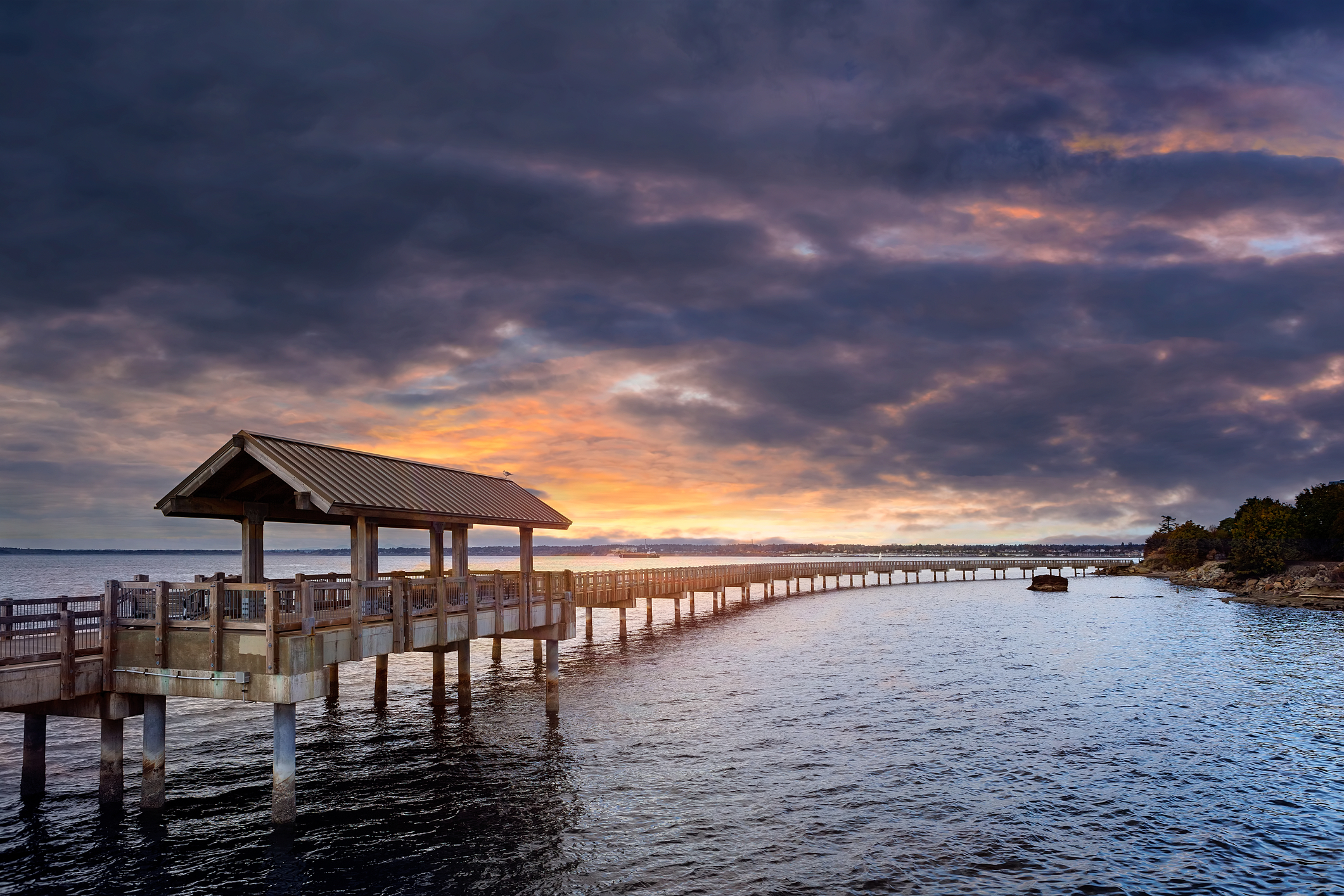 Living in Whatcom, Skagit, and Island Counties: Your Guide To Life In Northwest Washington header image.