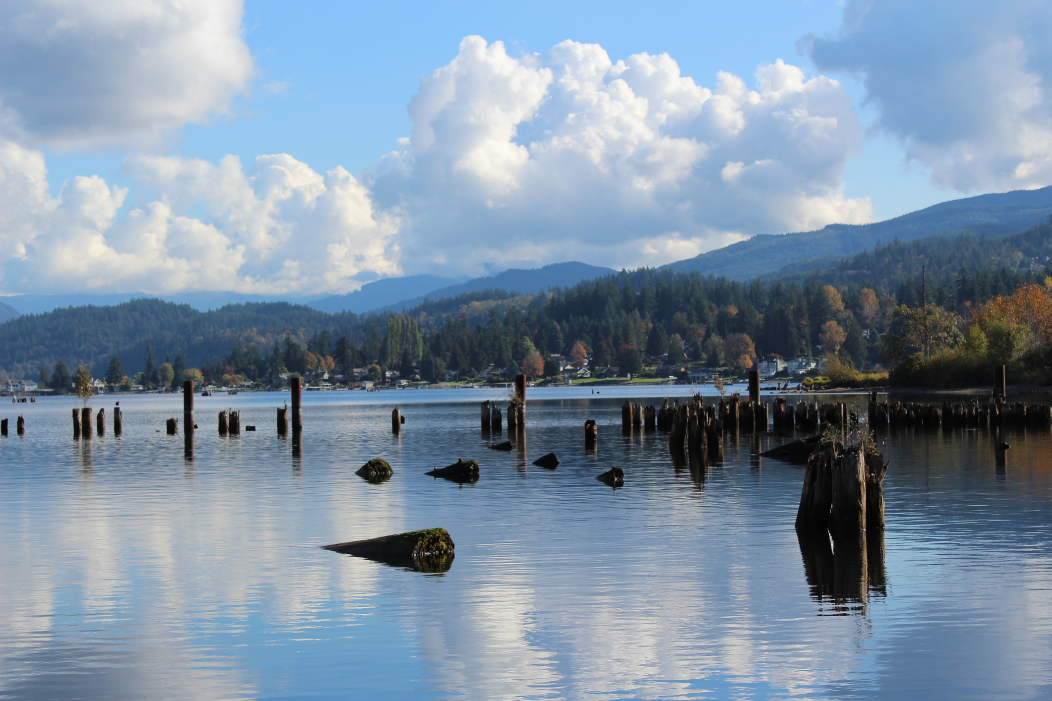 What to Look for in a Buyer's Agent: A Local's Honest Take header image.