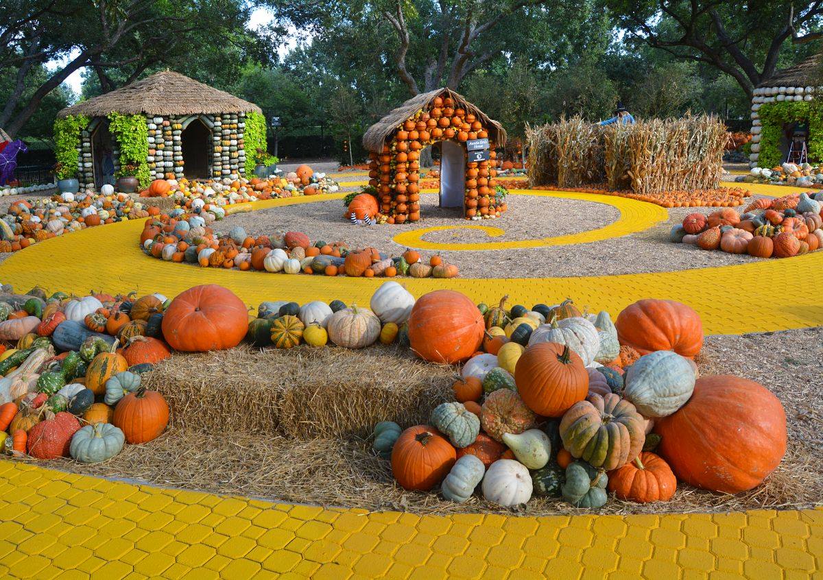 The Season Begins: November Festivities and Holiday Kickoffs in DFW header image.