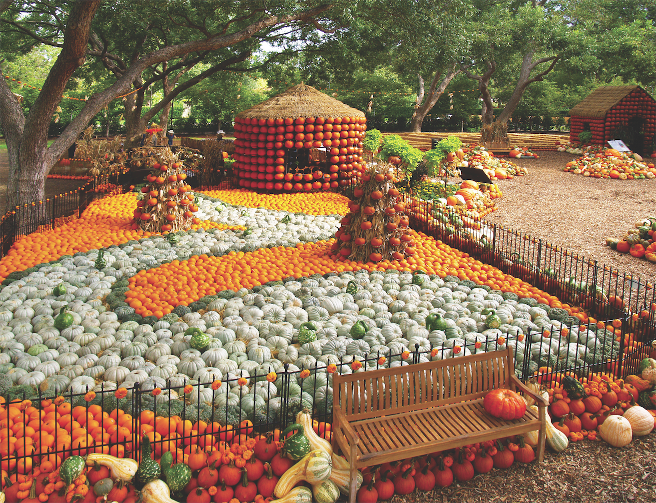 September in DFW: Your Guide to Fall Fun & Local Adventures header image.