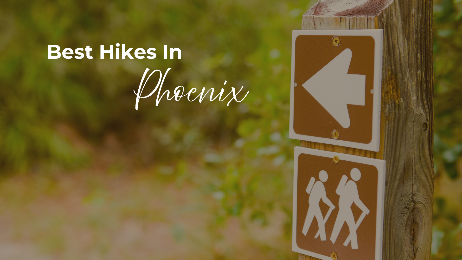 Hit the Trails: Arizona’s Perfect Season for Outdoor Adventure header image.