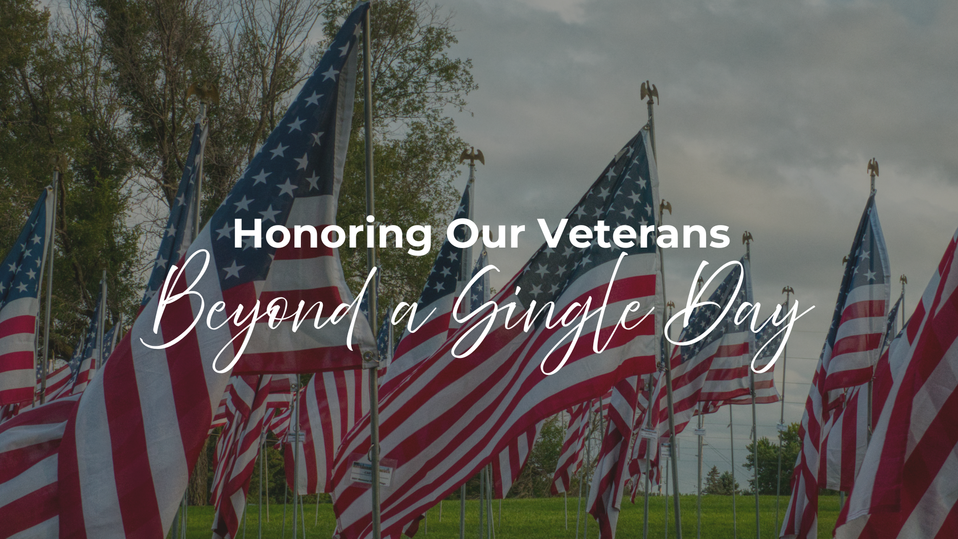 Honoring Our Veterans - Beyond a Single Day header image.