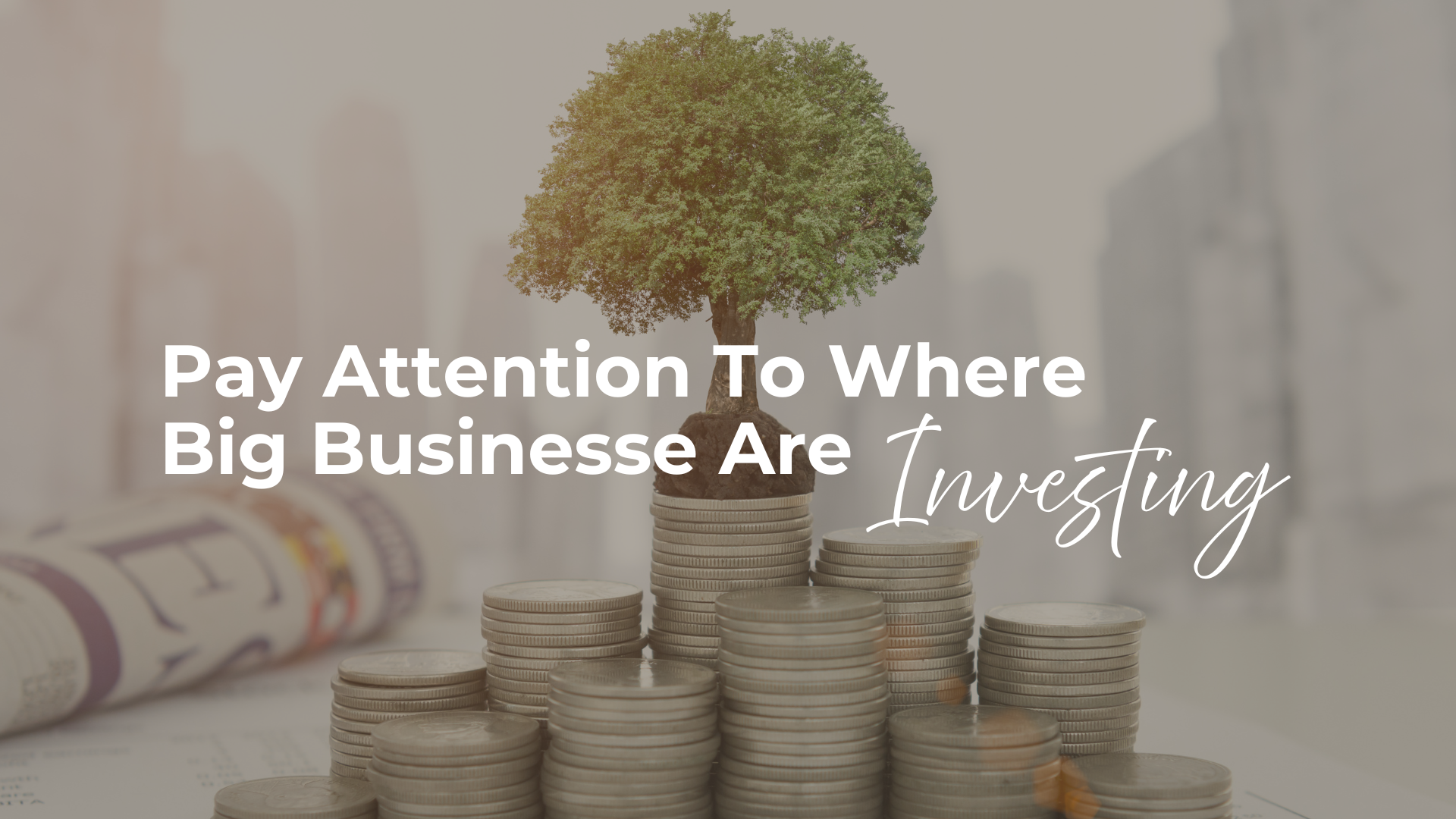 Pay Attention to Where Big Businesses Are Investing header image.