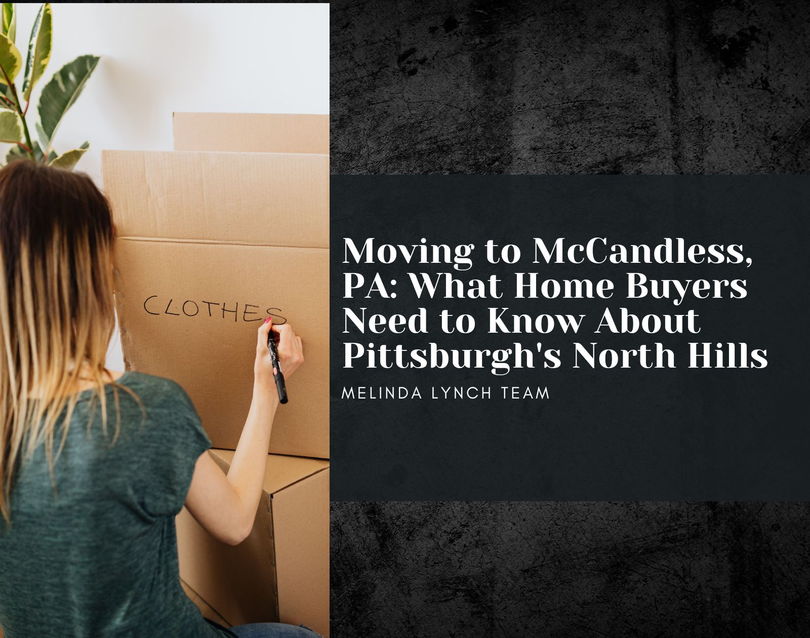 Moving to McCandless, PA: What Home Buyers Need to Know About Pittsburgh's North Hills header image.