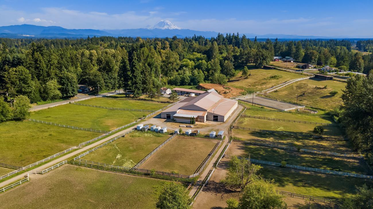 Lakeside Equestrian Stables header image.