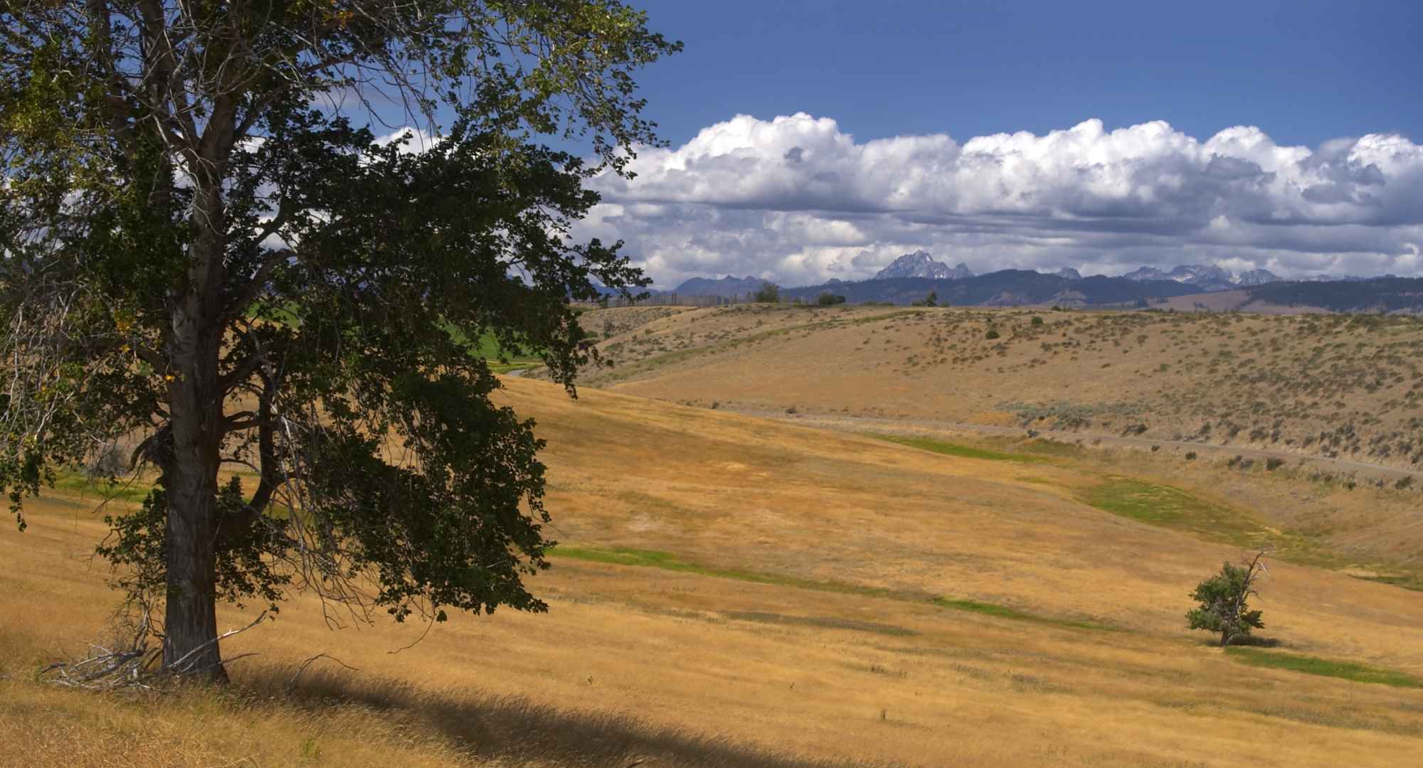 Sundance Ridge | Staking Claim to NW Living header image.
